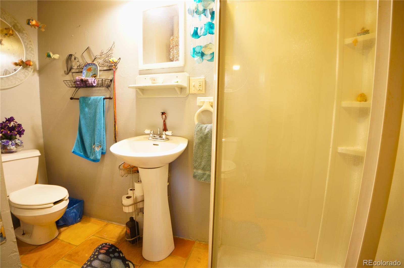 MLS Image #17 for 307 w golden avenue,cripple creek, Colorado