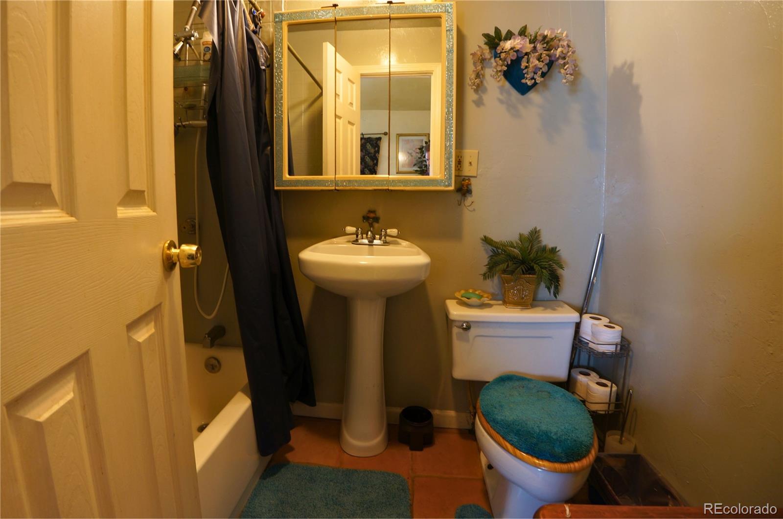 MLS Image #24 for 307 w golden avenue,cripple creek, Colorado