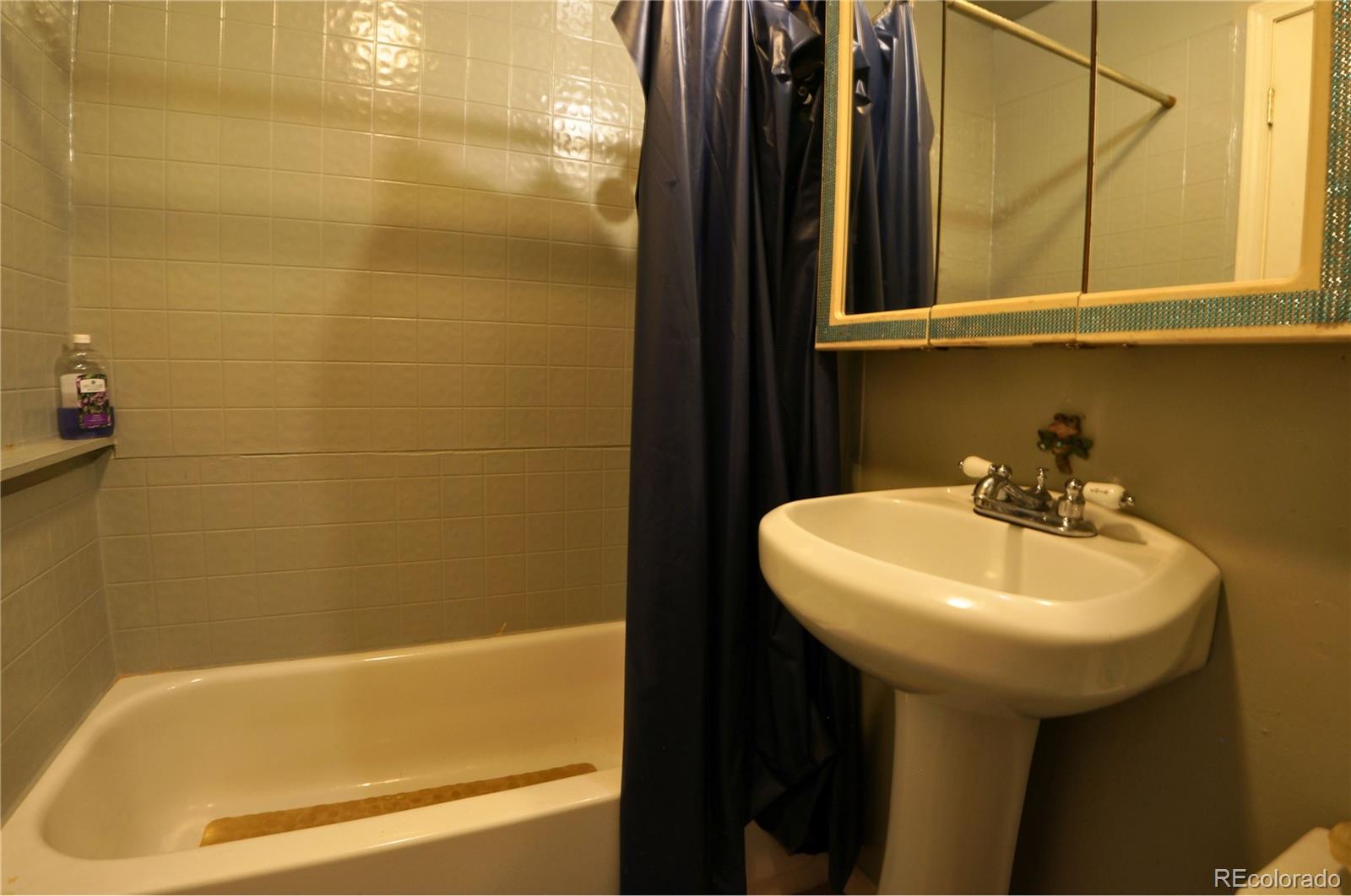 MLS Image #25 for 307 w golden avenue,cripple creek, Colorado