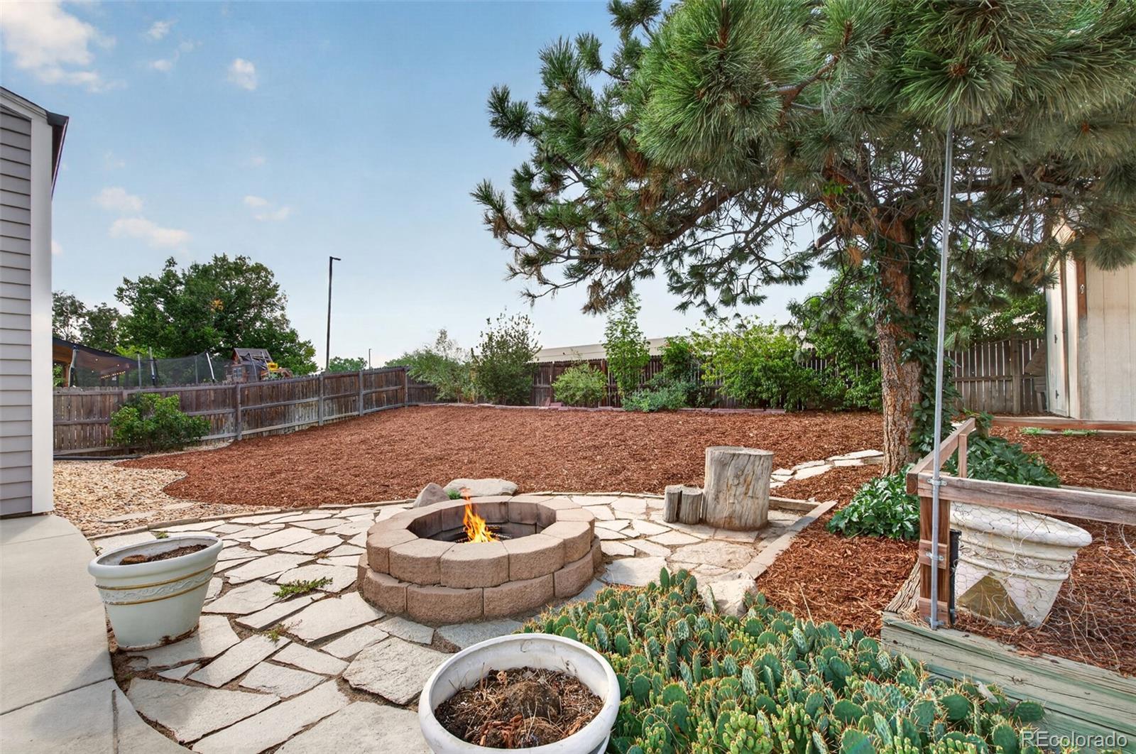 MLS Image #28 for 17855  fringed sage way,parker, Colorado
