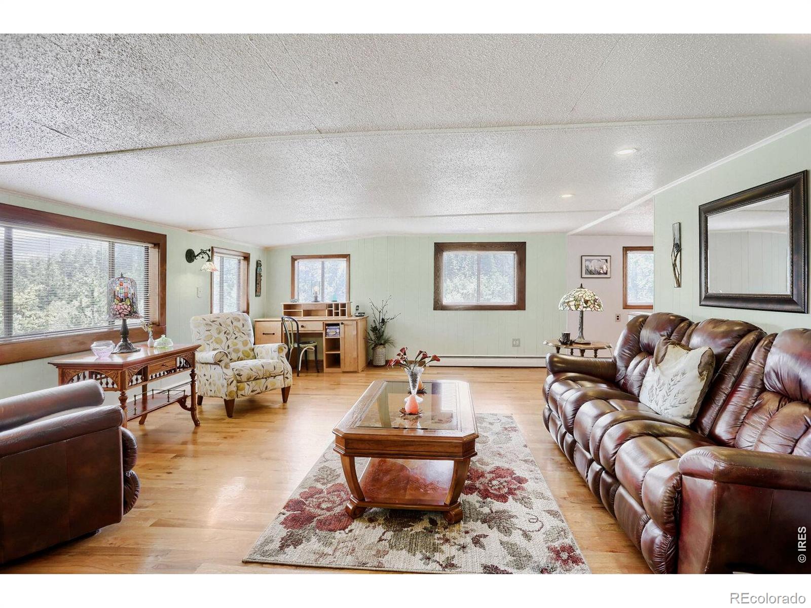 MLS Image #10 for 449  highway 7 business ,allenspark, Colorado