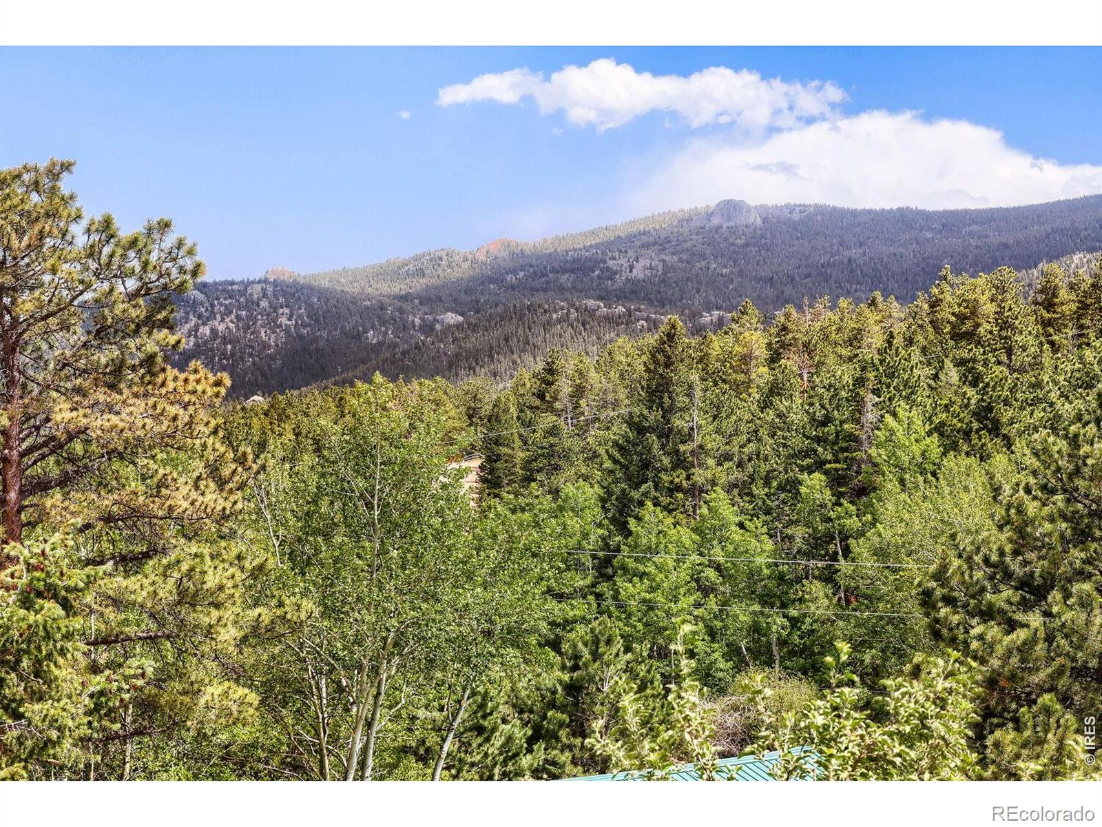 MLS Image #24 for 449  highway 7 business ,allenspark, Colorado