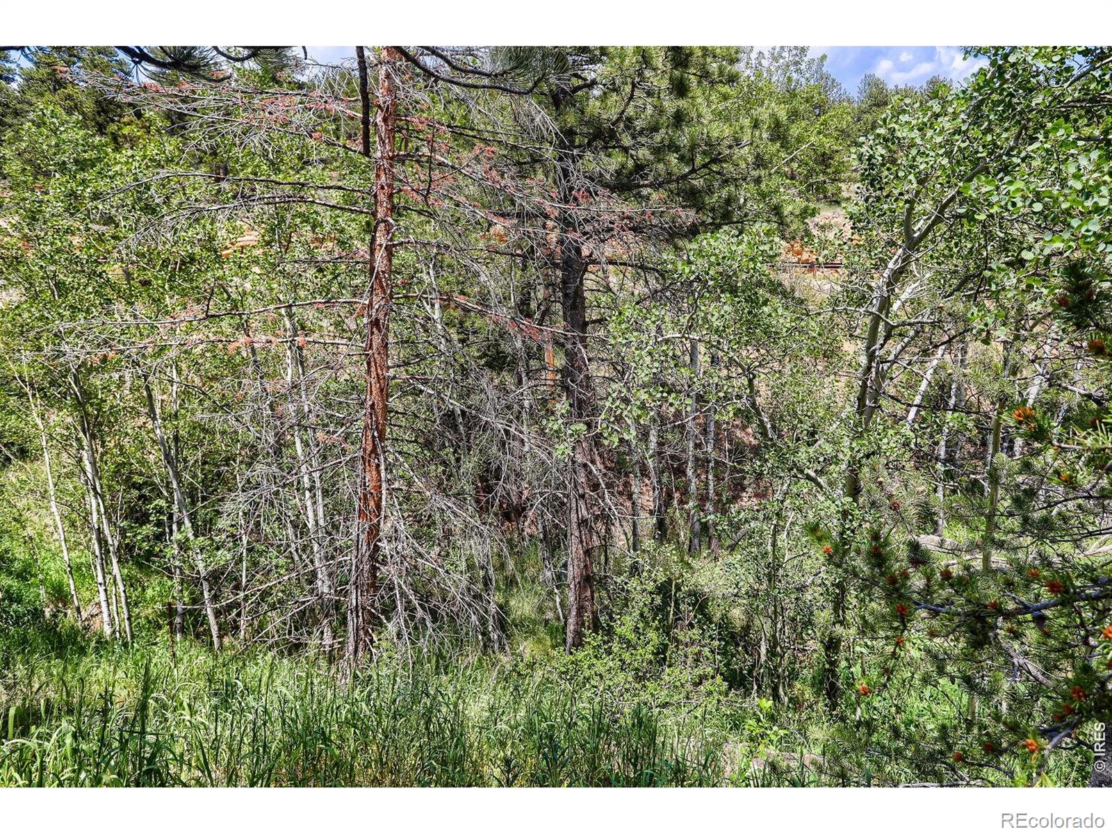 MLS Image #25 for 449  highway 7 business ,allenspark, Colorado