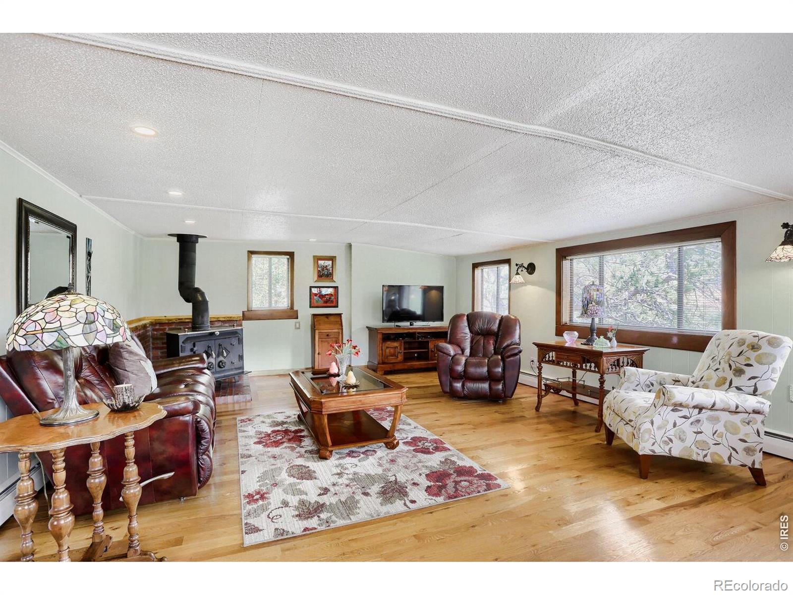 MLS Image #8 for 449  highway 7 business ,allenspark, Colorado