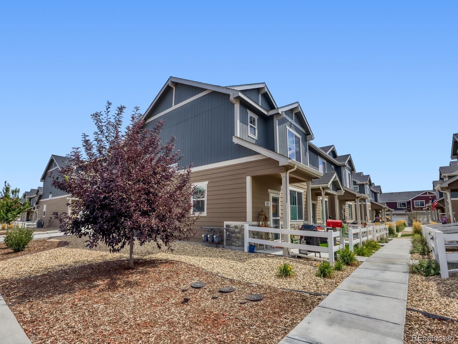 MLS Image #28 for 286  cardinal street,johnstown, Colorado