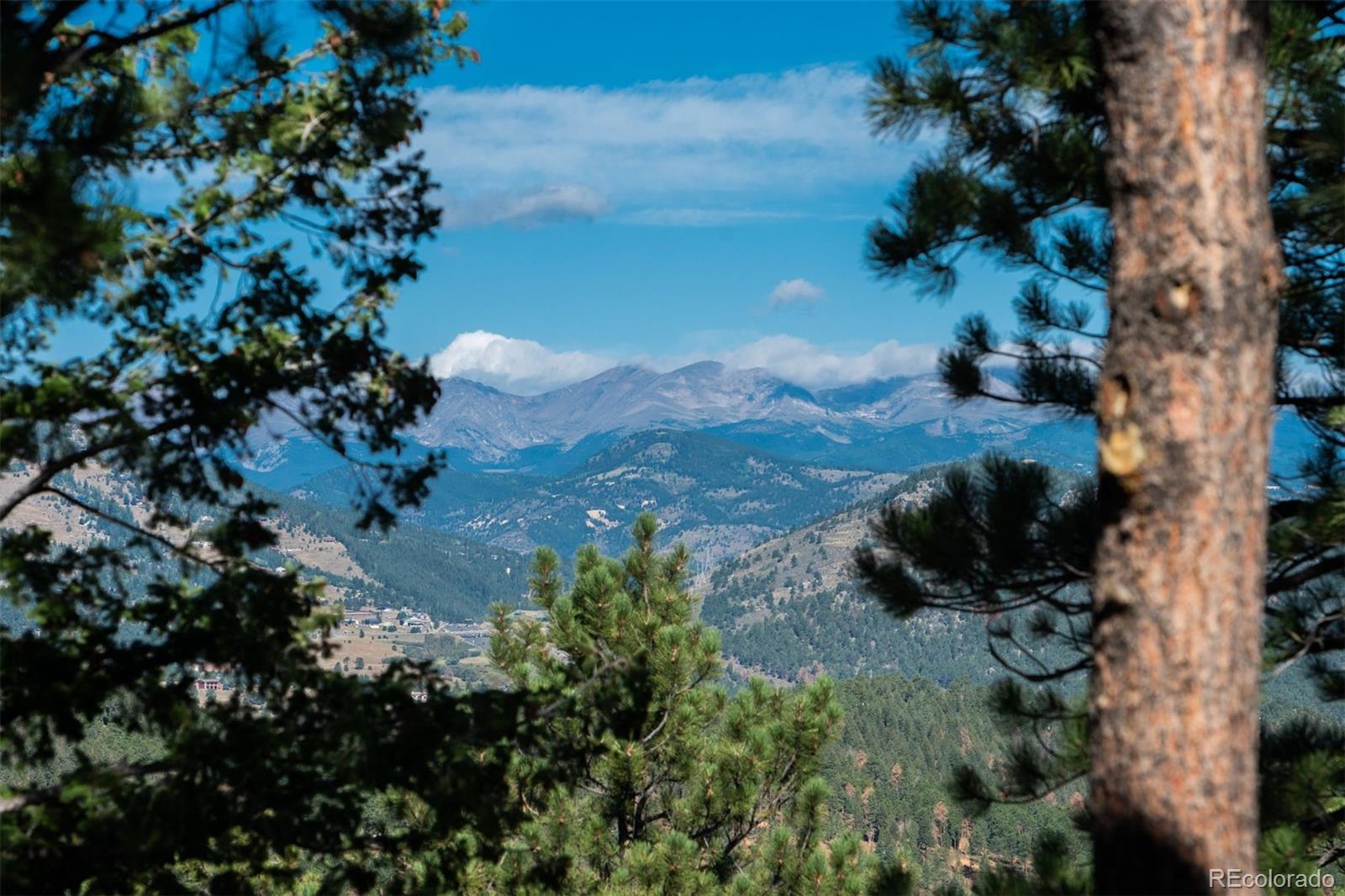 MLS Image #5 for 1028  blue grass trail,evergreen, Colorado