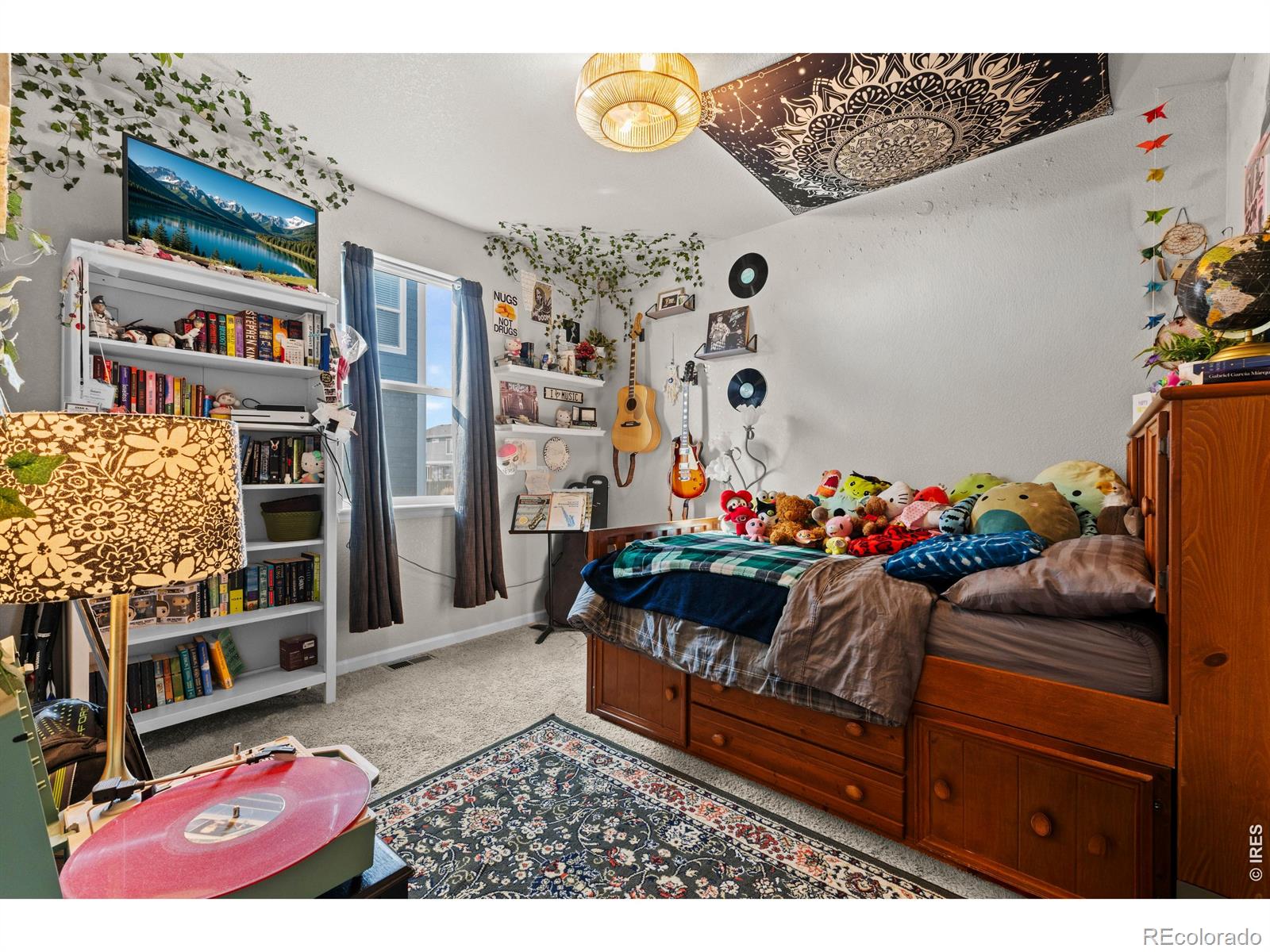 MLS Image #29 for 225  dorothy drive,berthoud, Colorado