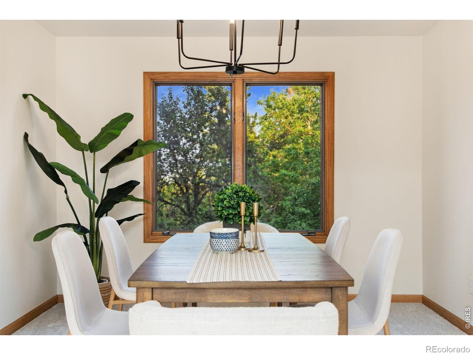 MLS Image #6 for 4432  gray fox road,fort collins, Colorado