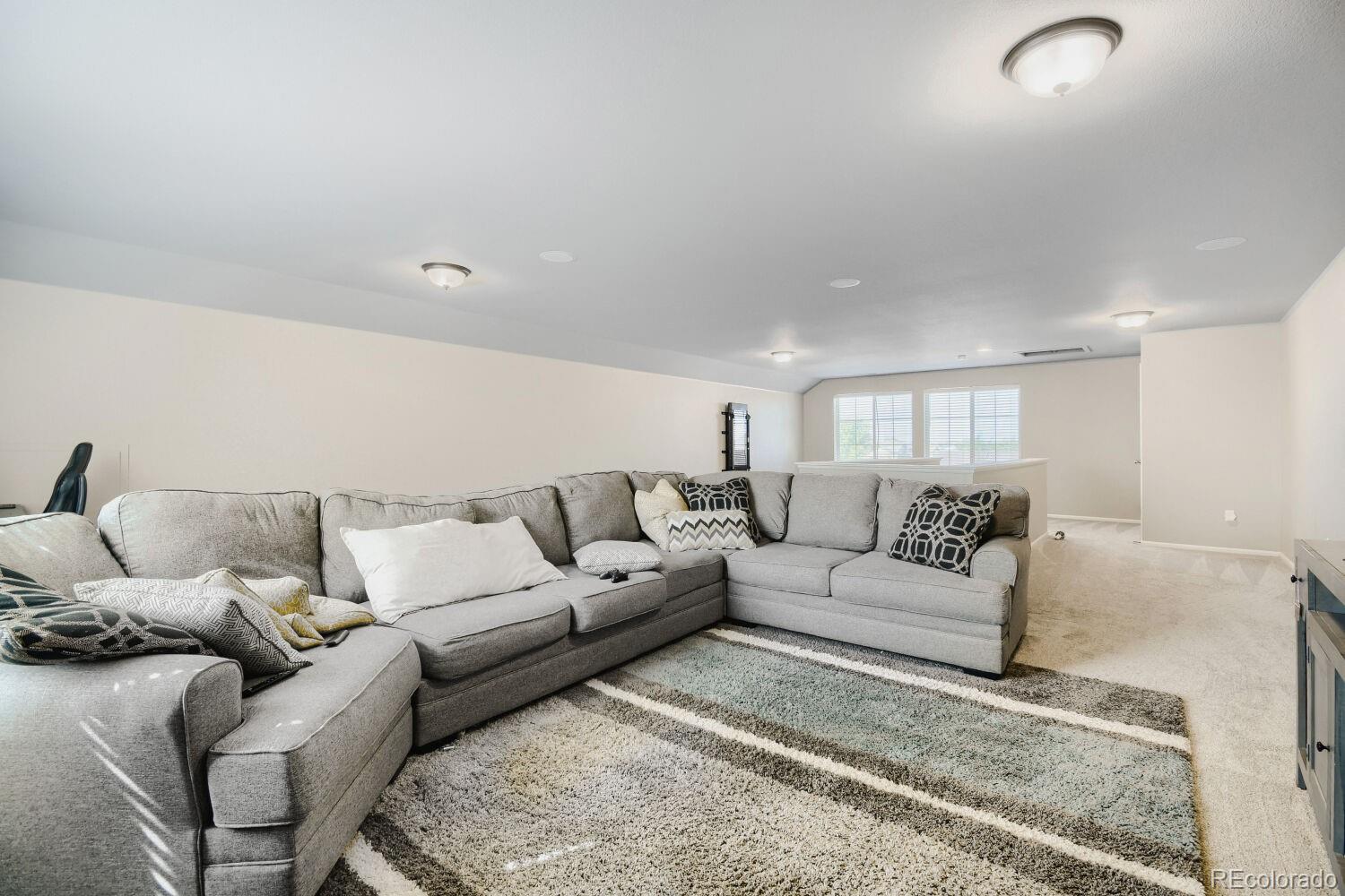 MLS Image #17 for 11713 e 118th place,henderson, Colorado