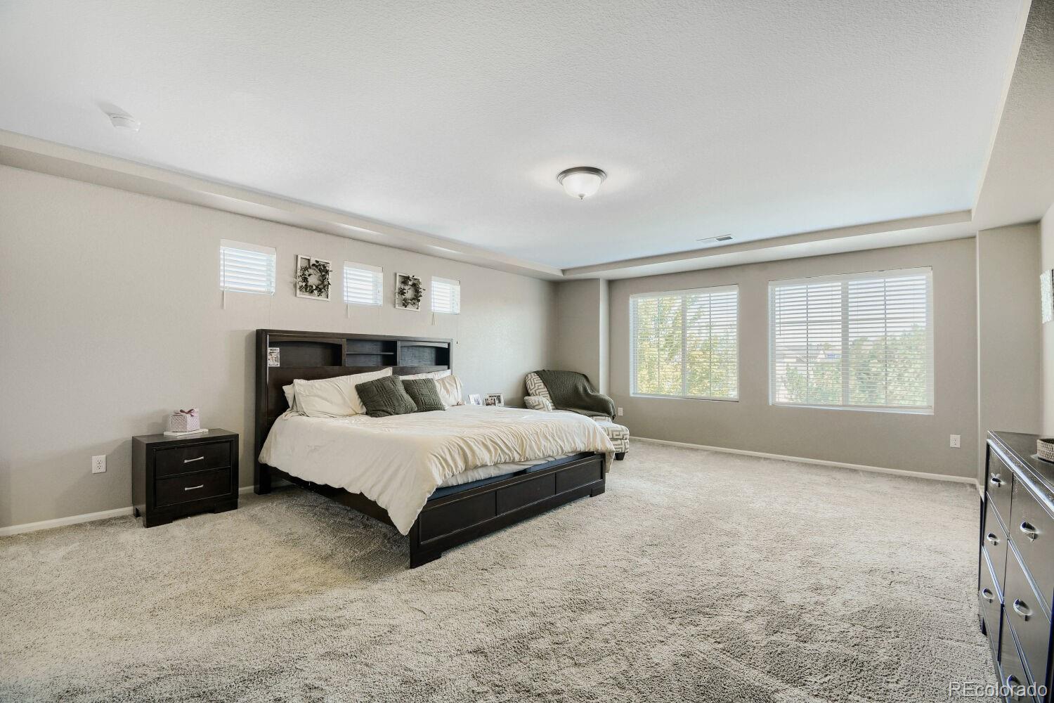 MLS Image #19 for 11713 e 118th place,henderson, Colorado