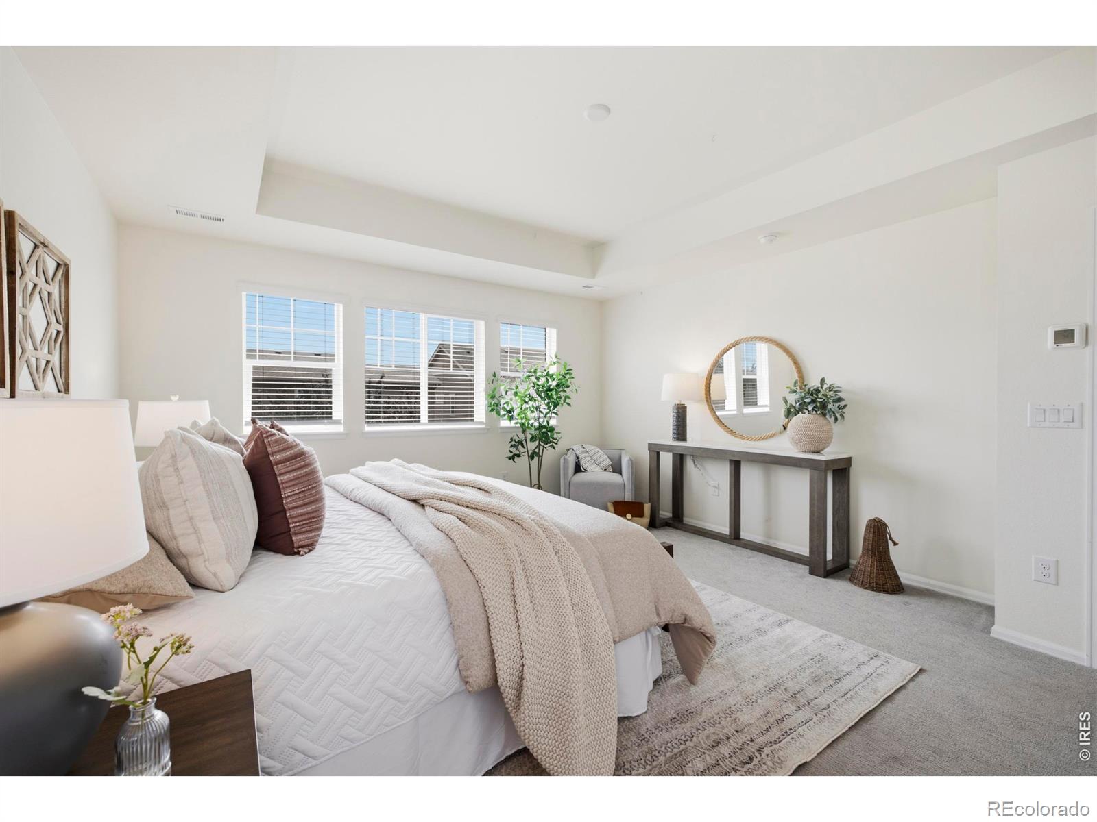 MLS Image #18 for 3027  reliant street,fort collins, Colorado