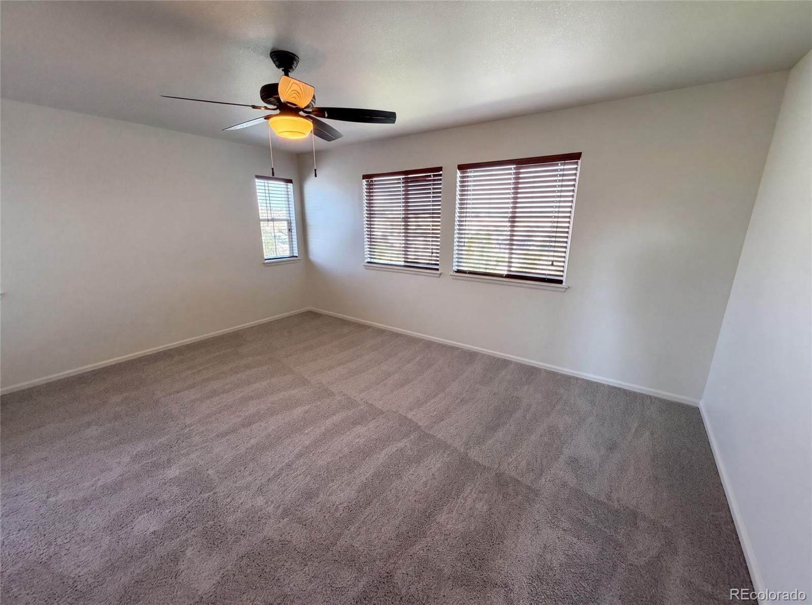 MLS Image #17 for 4219  dunsinane way,castle rock, Colorado