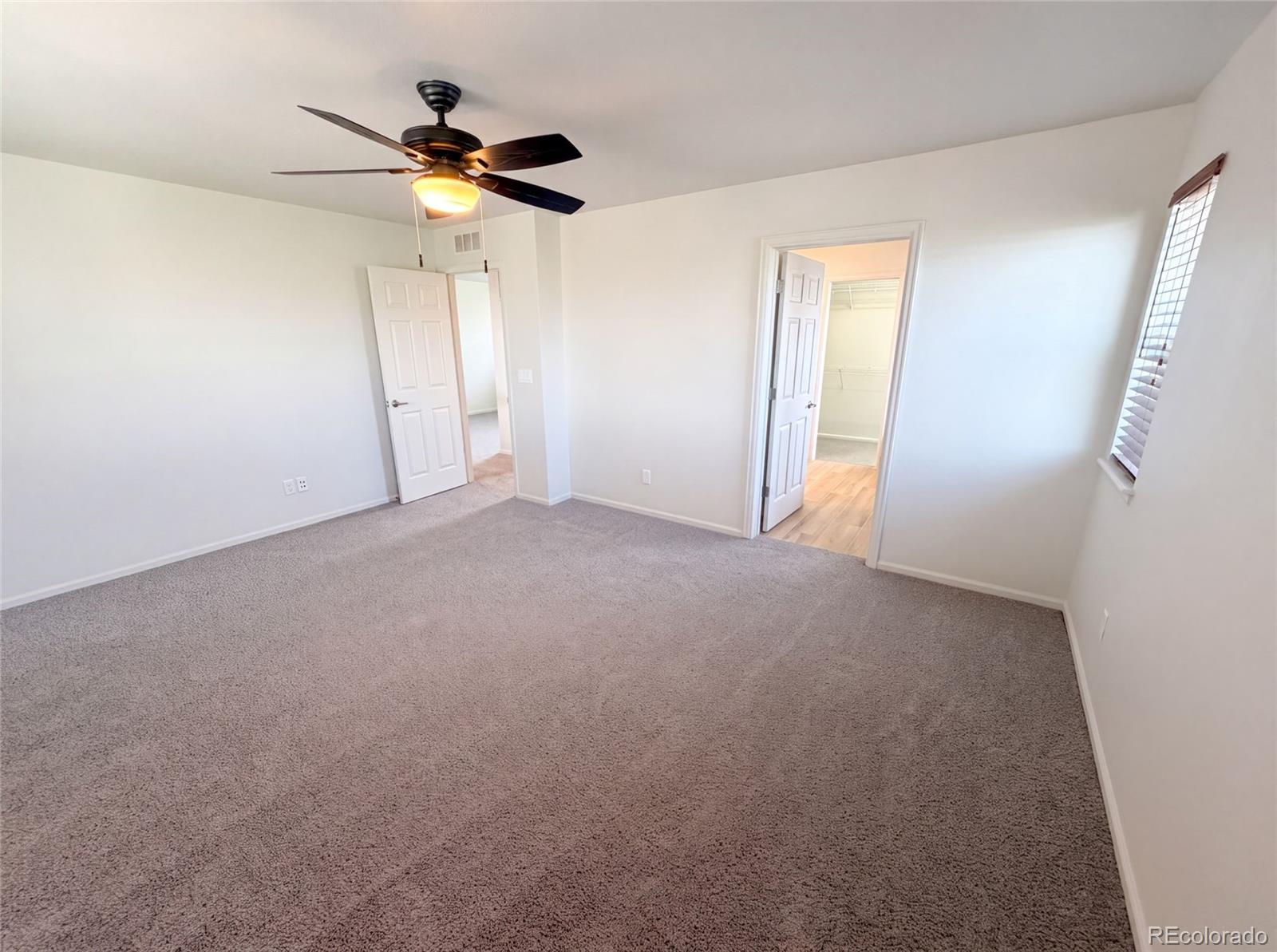 MLS Image #18 for 4219  dunsinane way,castle rock, Colorado
