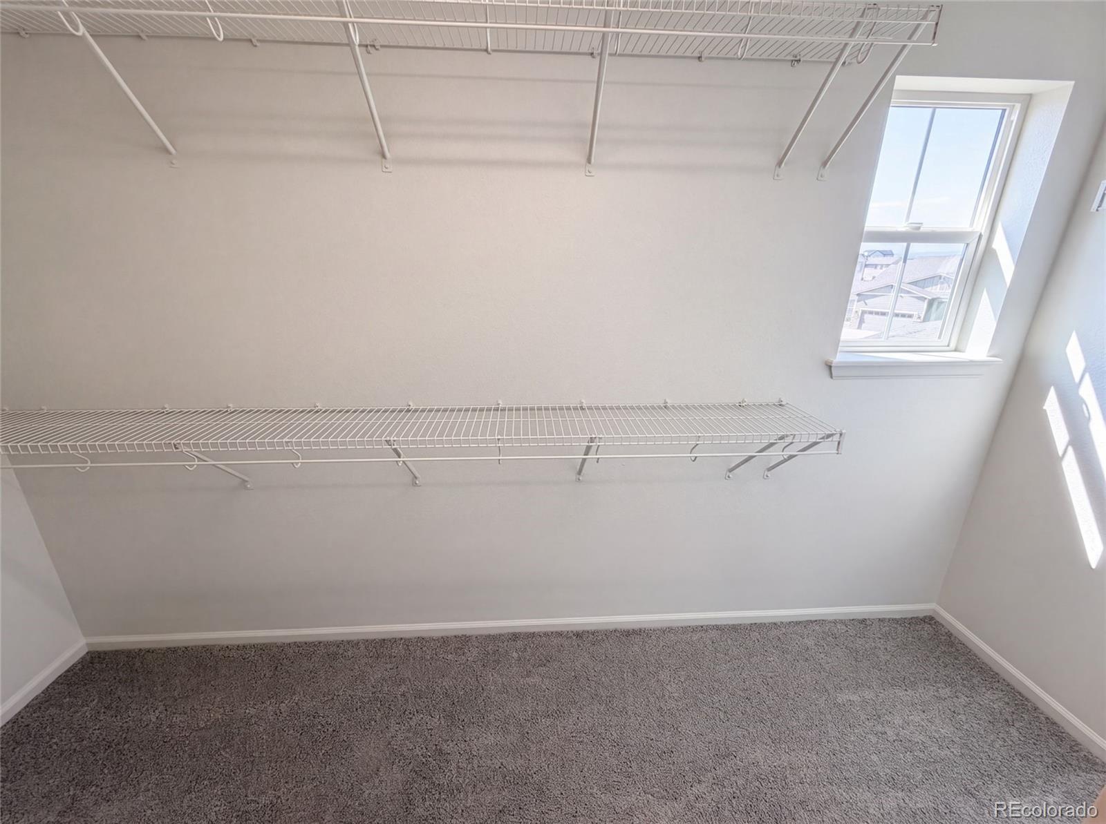 MLS Image #21 for 4219  dunsinane way,castle rock, Colorado