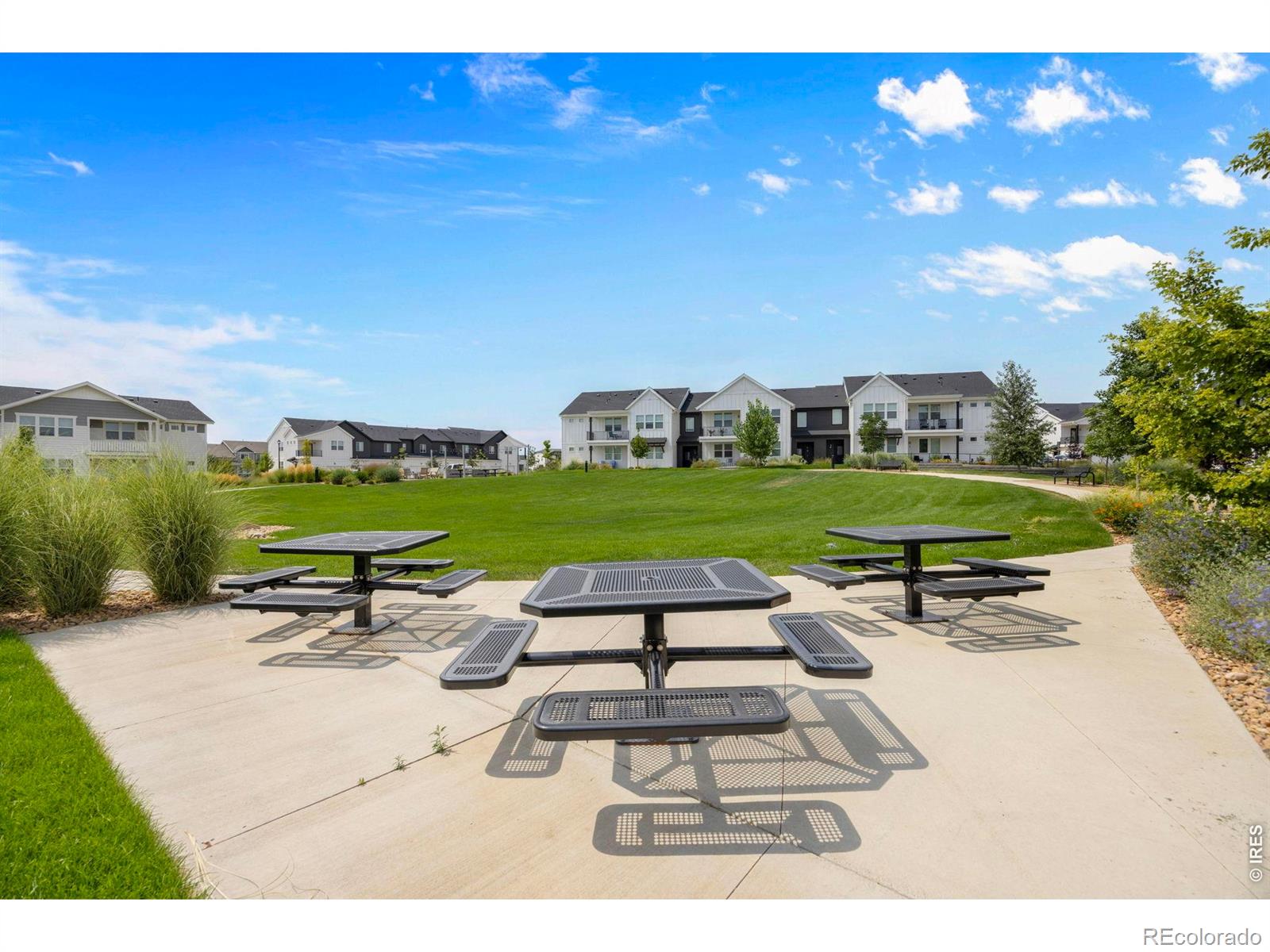 MLS Image #17 for 2102  setting sun drive,windsor, Colorado
