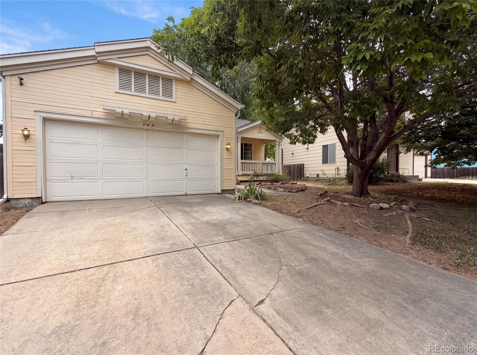MLS Image #19 for 403  tynan drive,erie, Colorado