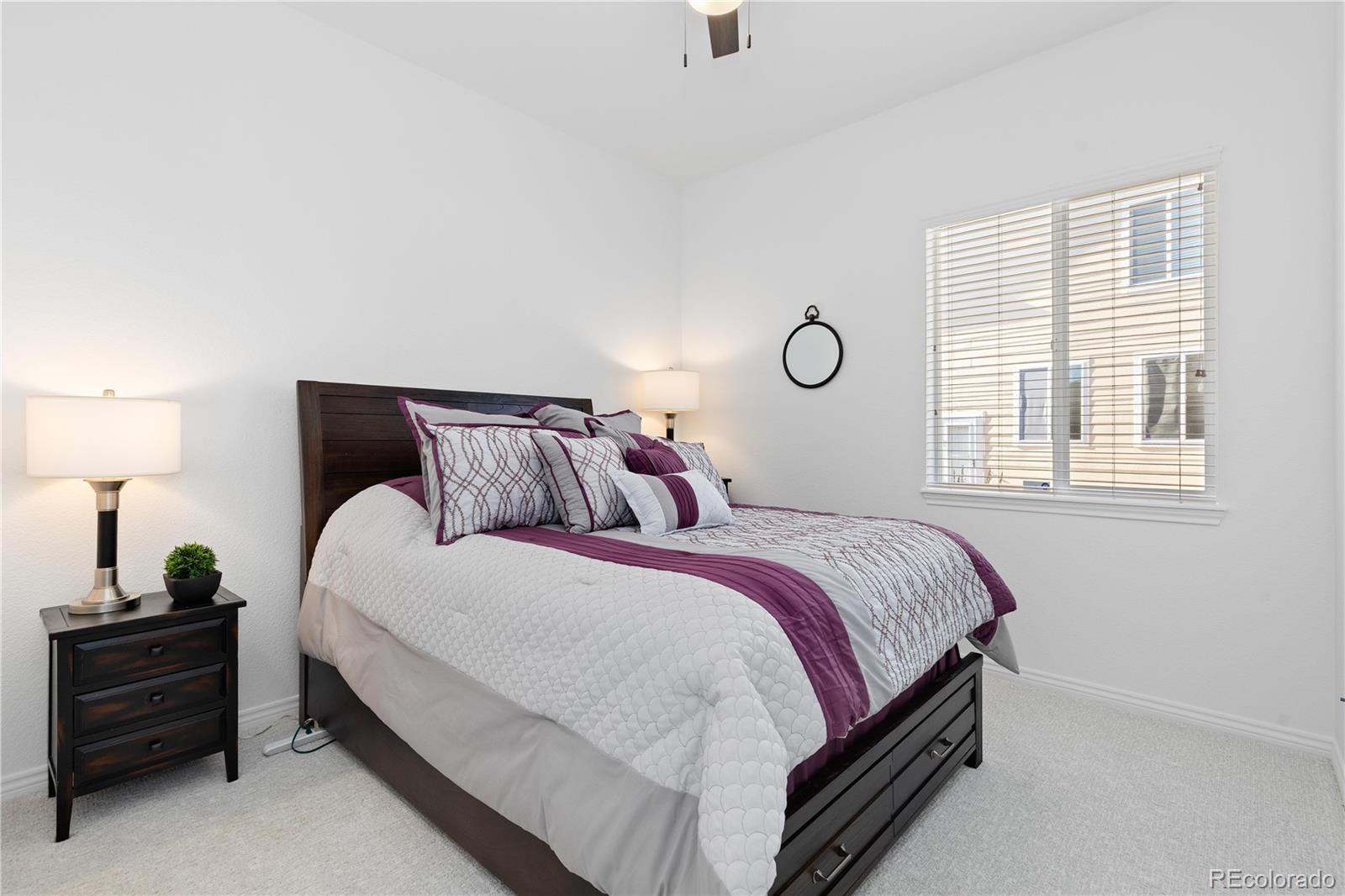 MLS Image #19 for 2056  baguette drive,castle rock, Colorado