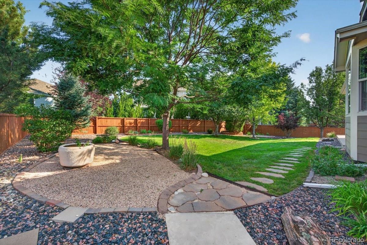 MLS Image #27 for 2056  baguette drive,castle rock, Colorado