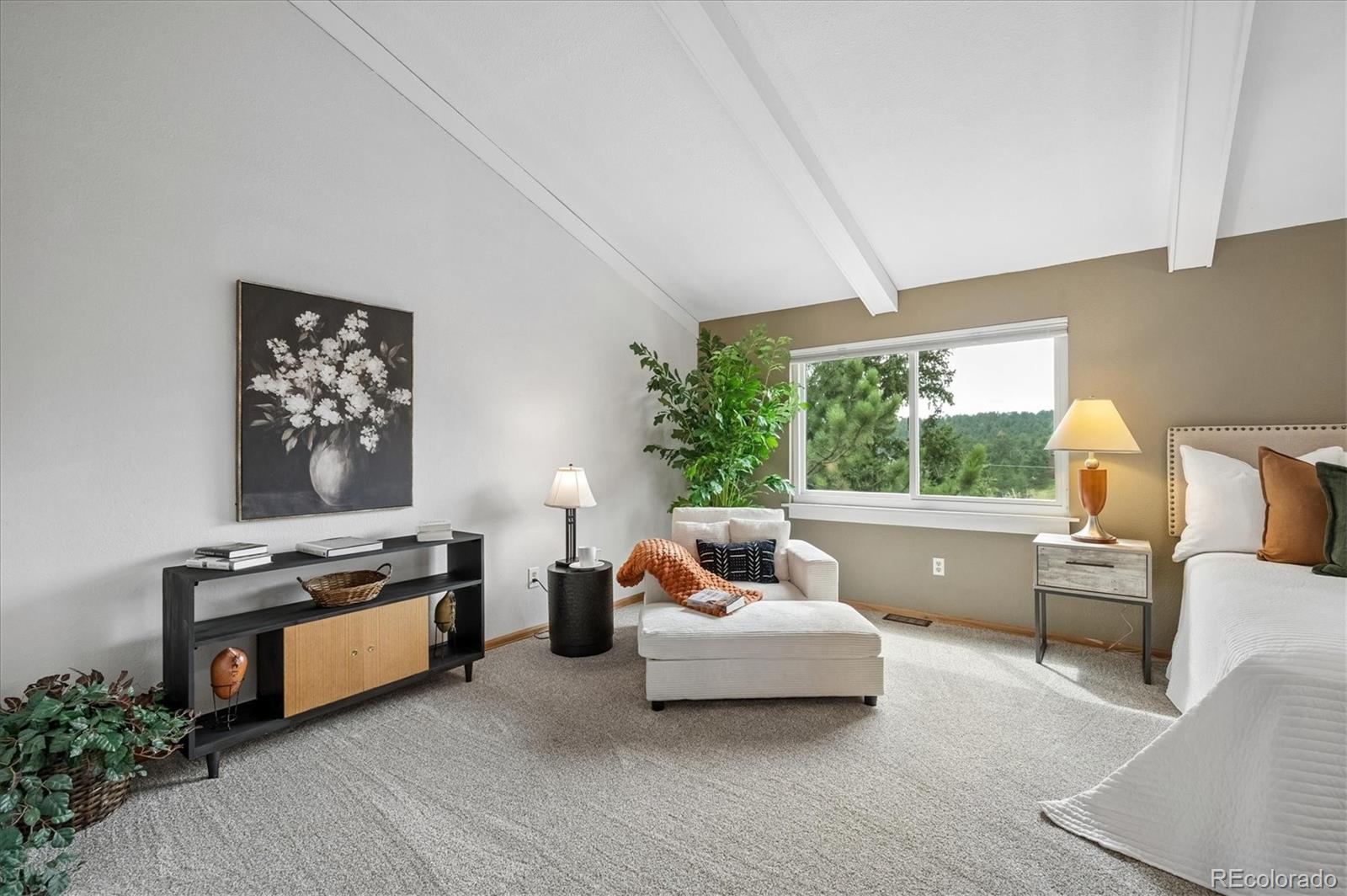 MLS Image #12 for 30328  appaloosa drive,evergreen, Colorado