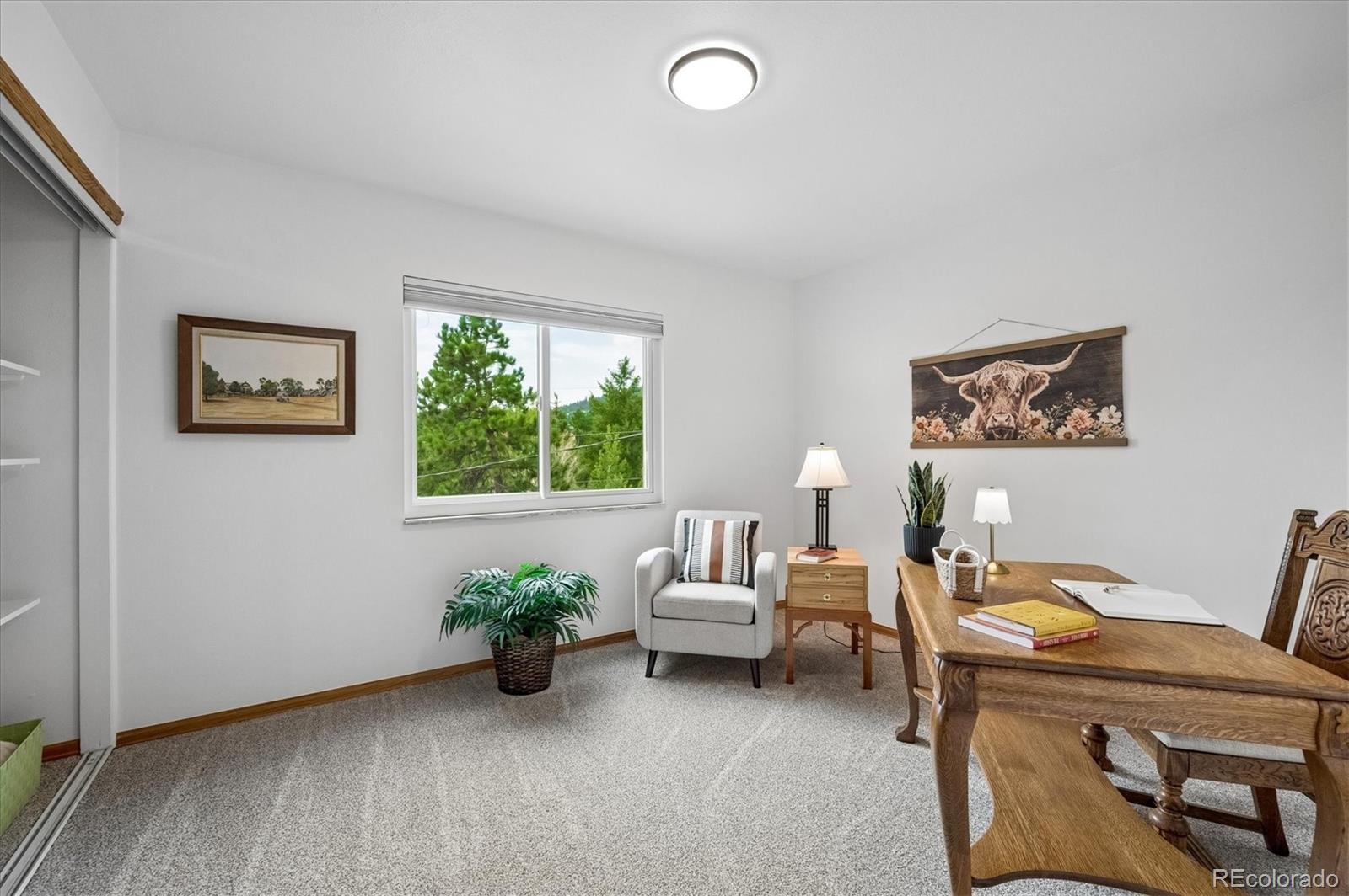 MLS Image #16 for 30328  appaloosa drive,evergreen, Colorado