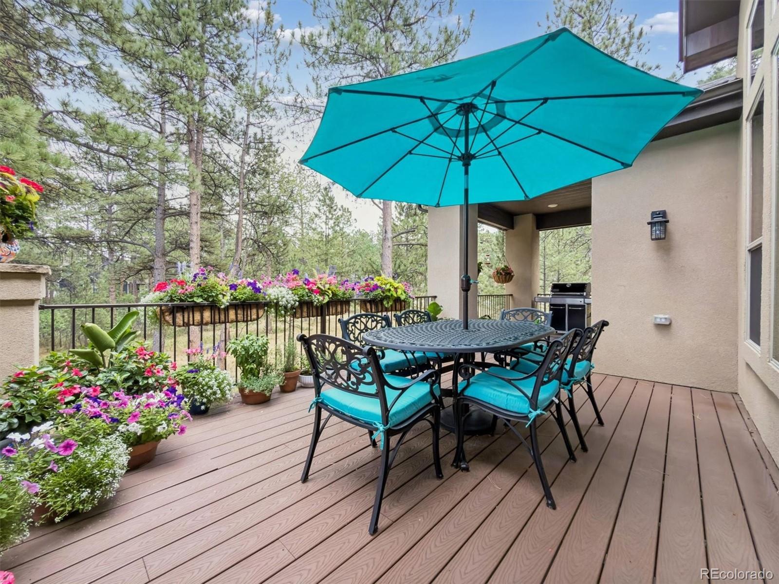 MLS Image #11 for 1240  hoosier drive,larkspur, Colorado