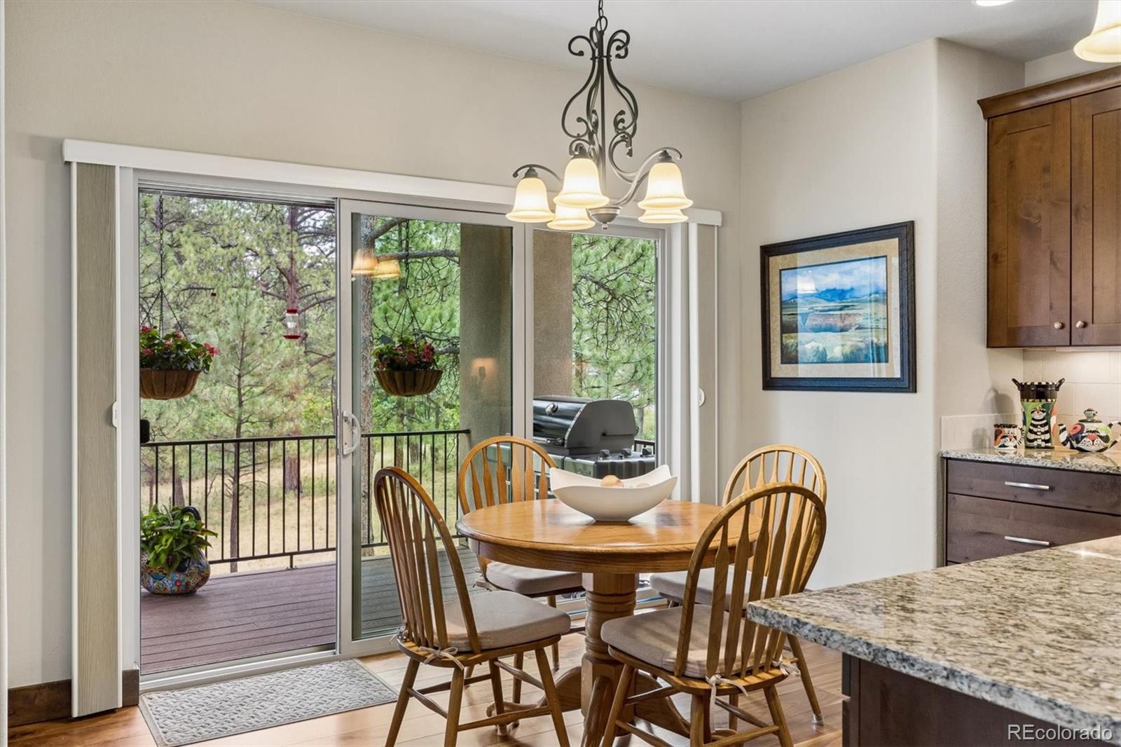 MLS Image #19 for 1240  hoosier drive,larkspur, Colorado