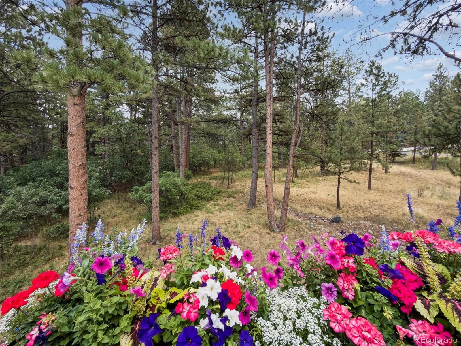 MLS Image #4 for 1240  hoosier drive,larkspur, Colorado