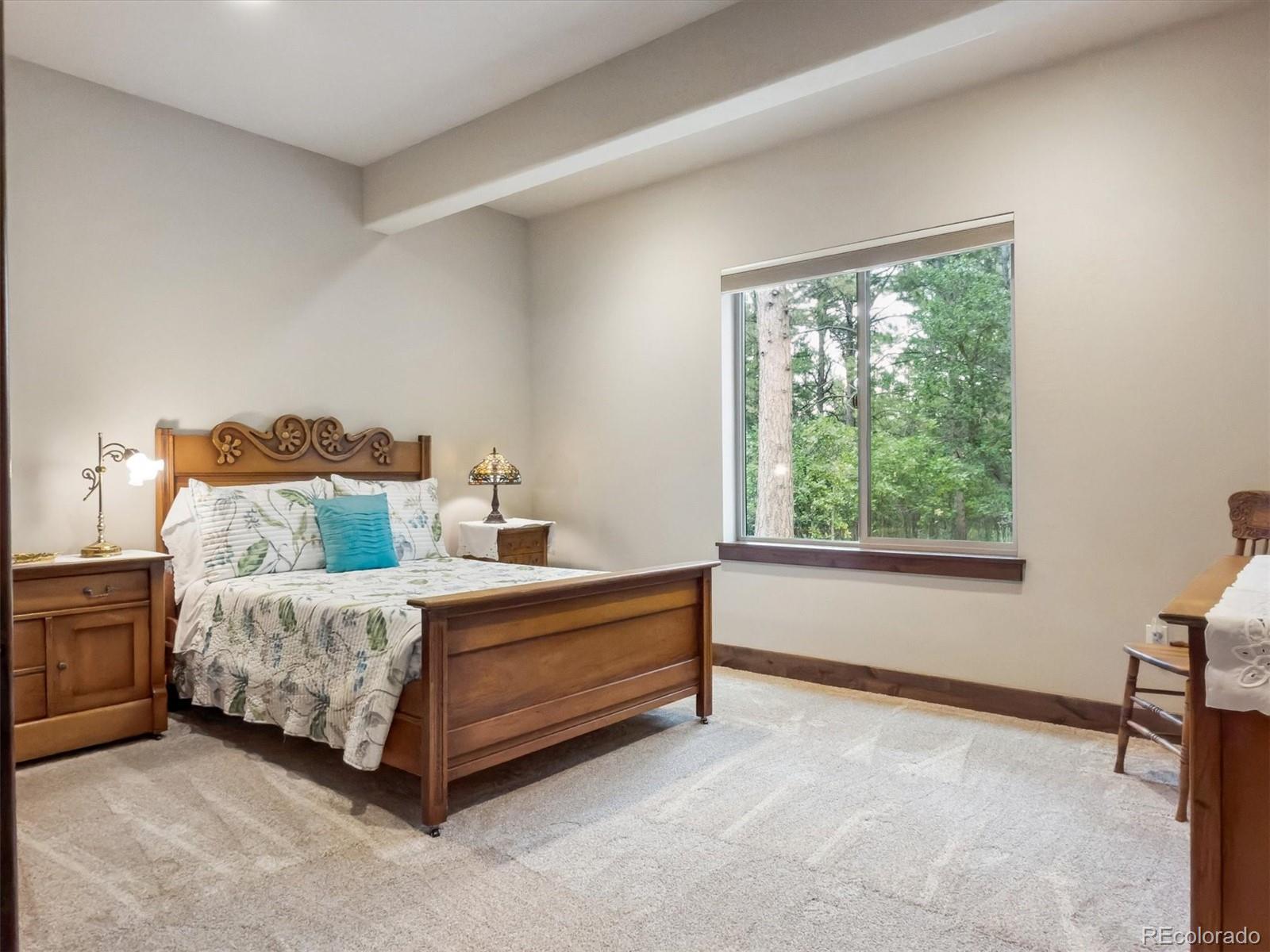 MLS Image #41 for 1240  hoosier drive,larkspur, Colorado