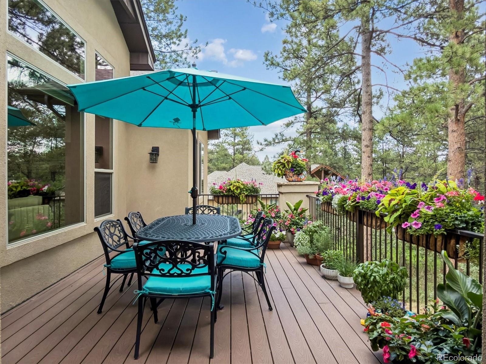 MLS Image #43 for 1240  hoosier drive,larkspur, Colorado