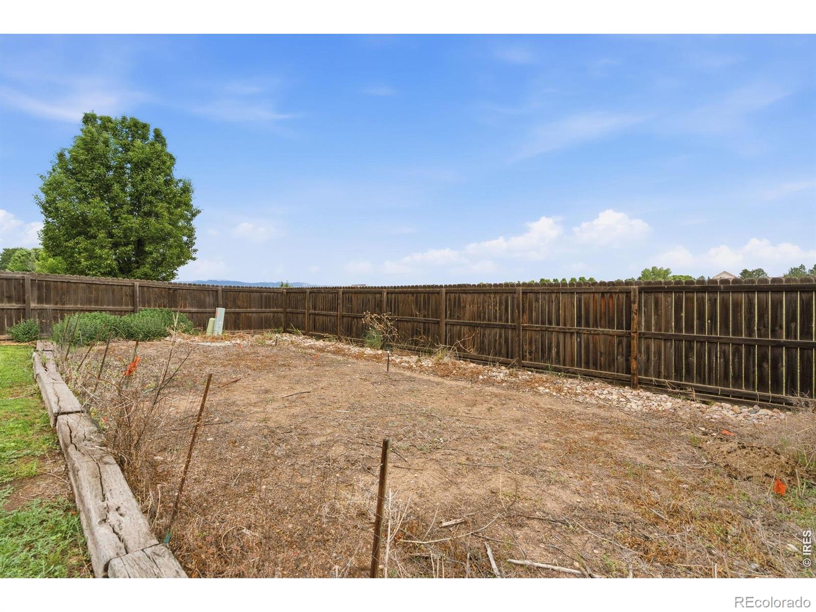 MLS Image #42 for 1530  walnut street,windsor, Colorado