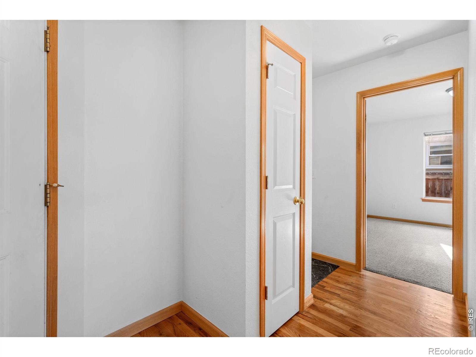 MLS Image #7 for 1530  walnut street,windsor, Colorado