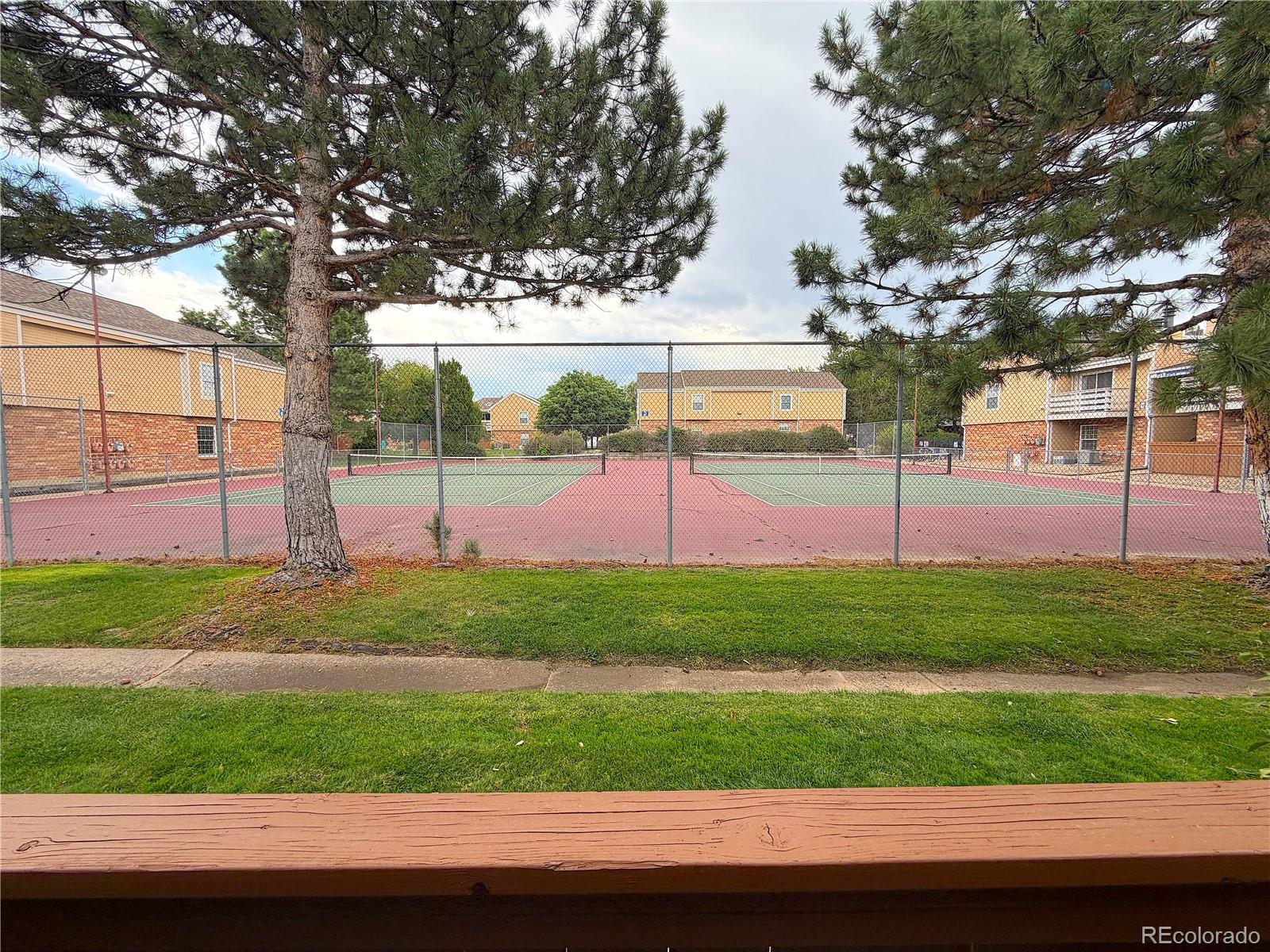 MLS Image #8 for 3336 s ammons street,lakewood, Colorado