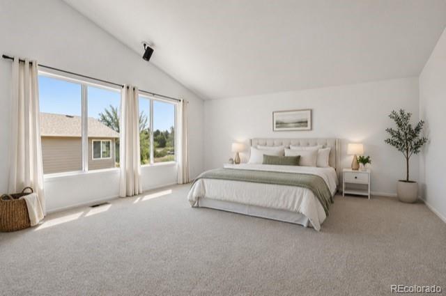 MLS Image #29 for 3583 e 106th avenue,denver, Colorado