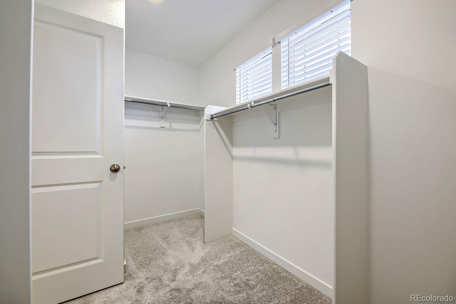 MLS Image #8 for 7454  whiteclover lane,littleton, Colorado
