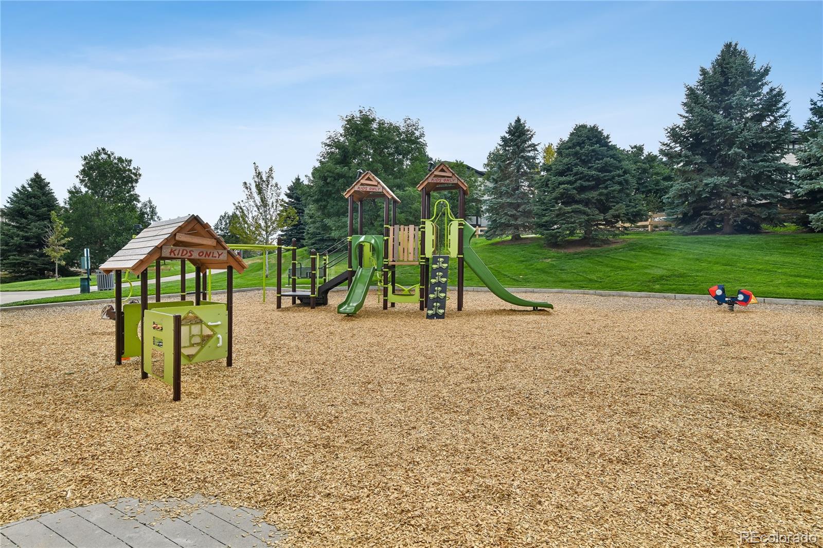 MLS Image #41 for 3110  redhaven way,highlands ranch, Colorado