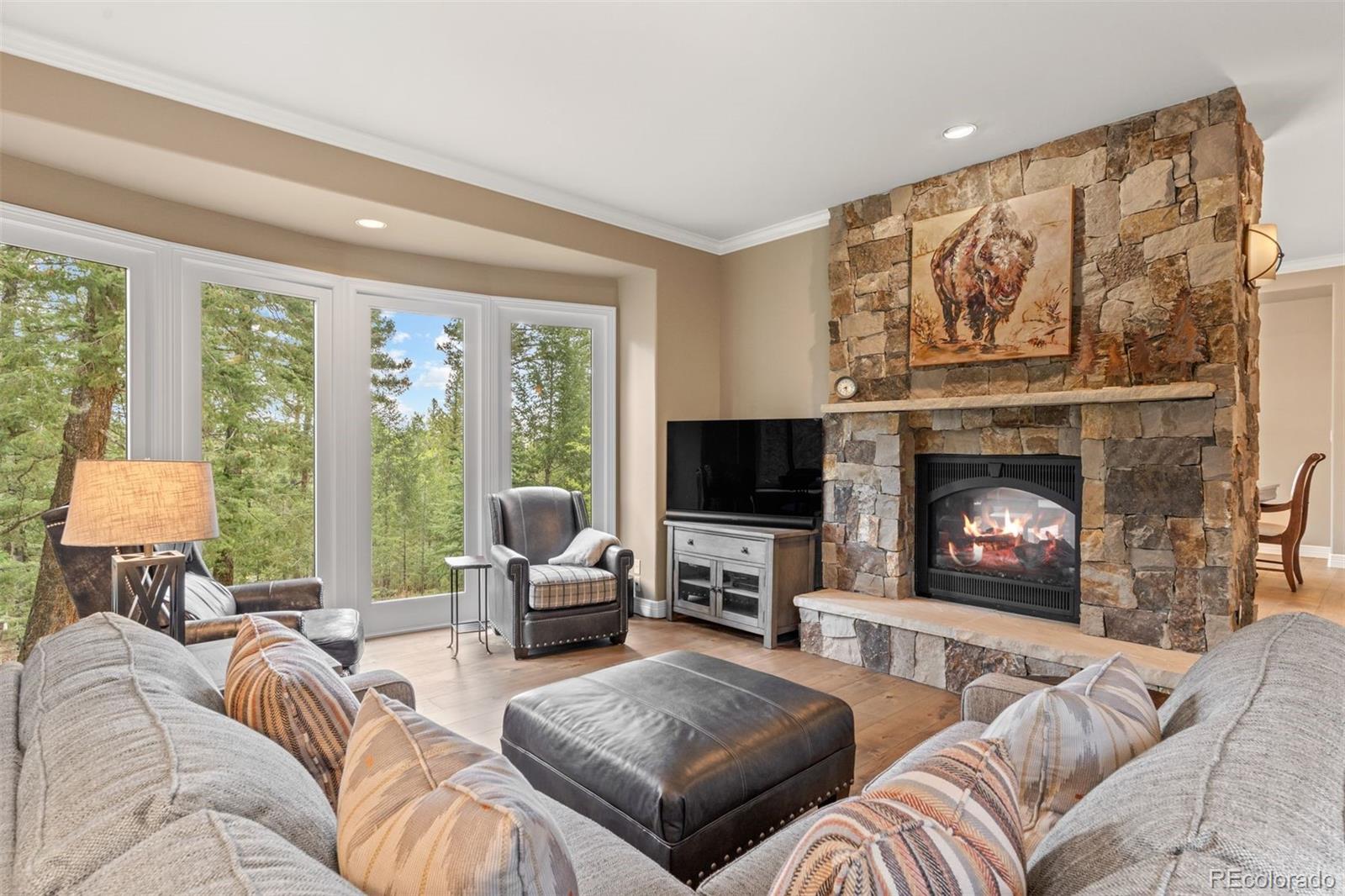 MLS Image #11 for 34031  meadow mountain road,evergreen, Colorado