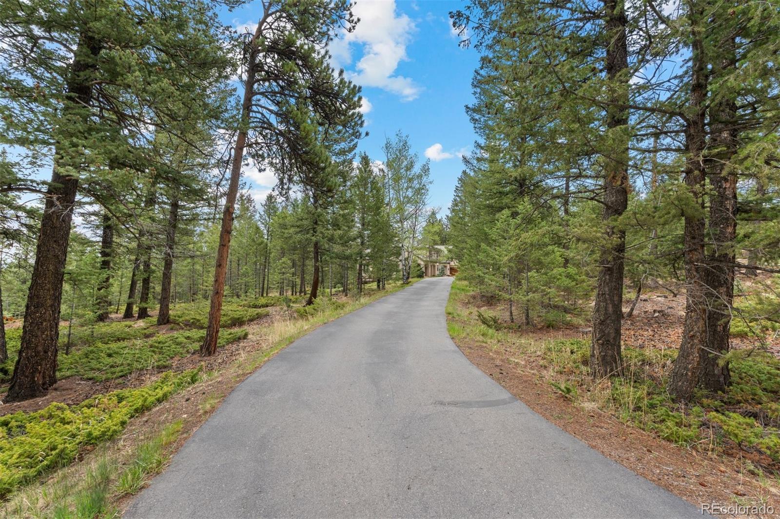 MLS Image #43 for 34031  meadow mountain road,evergreen, Colorado