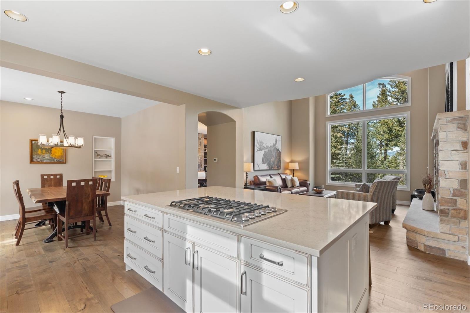 MLS Image #5 for 34031  meadow mountain road,evergreen, Colorado