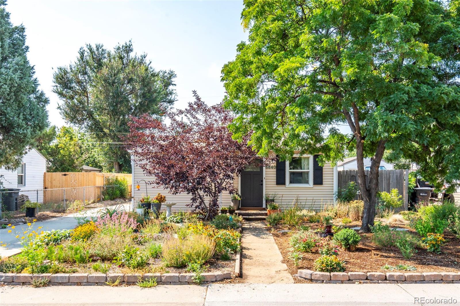MLS Image #2 for 6840  reno drive,arvada, Colorado