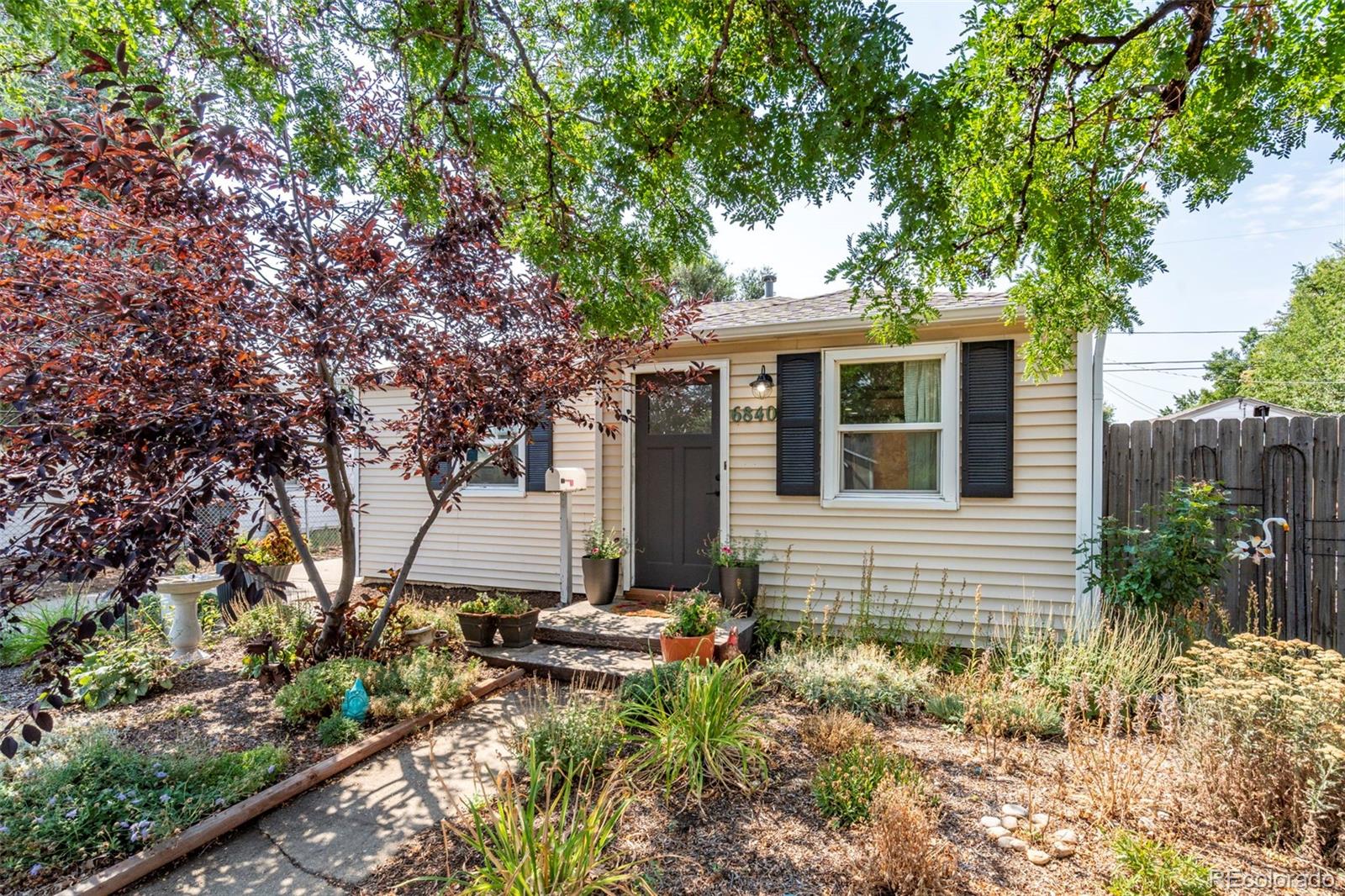MLS Image #3 for 6840  reno drive,arvada, Colorado