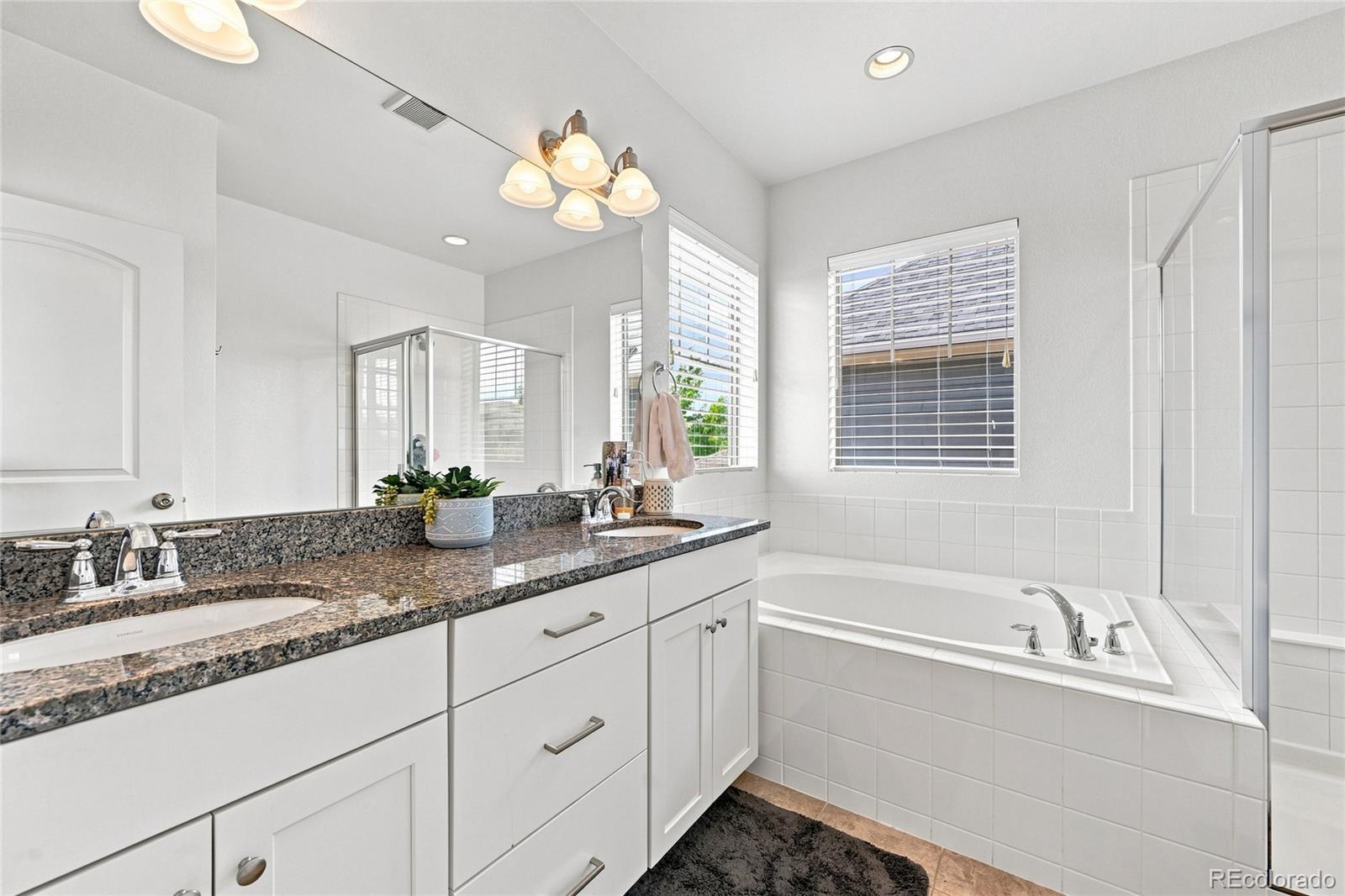 MLS Image #22 for 8790 e 54th place,denver, Colorado