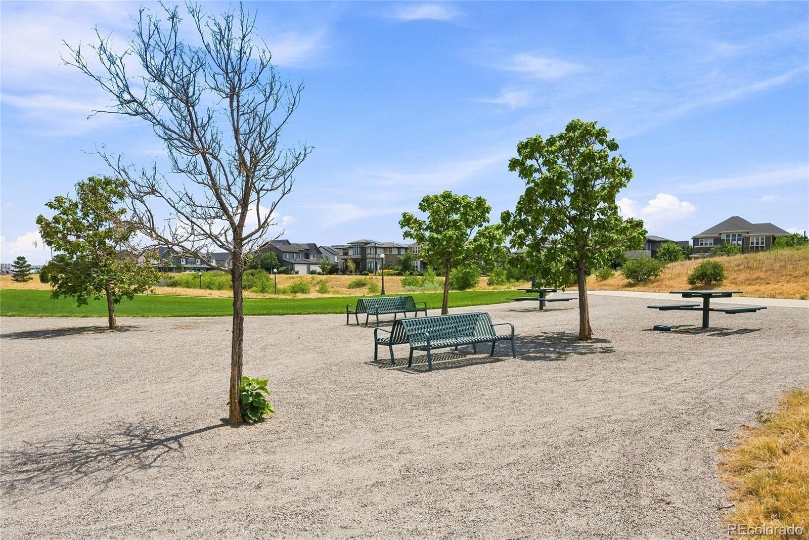 MLS Image #28 for 8790 e 54th place,denver, Colorado