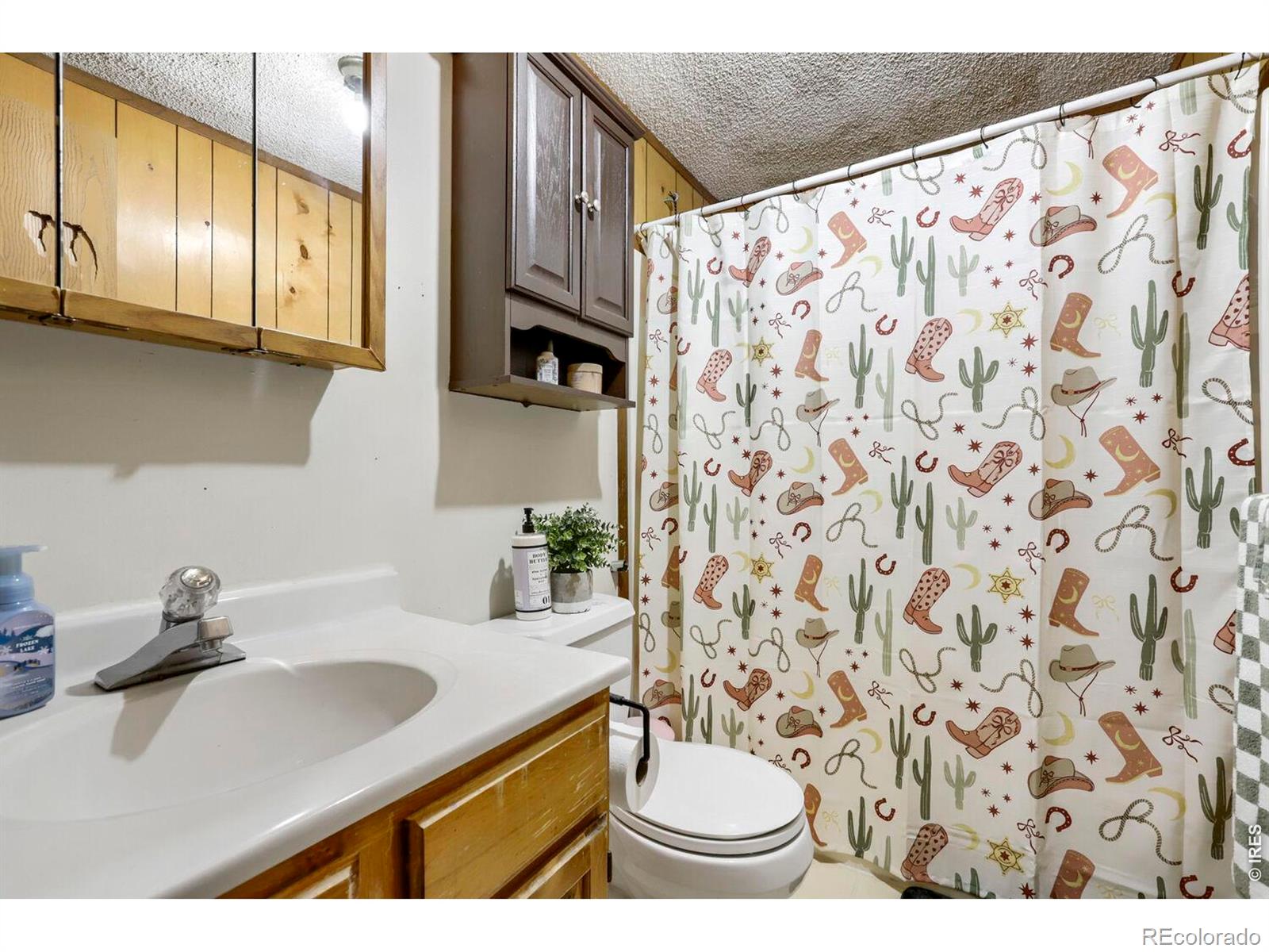 MLS Image #23 for 329  palmer avenue,mead, Colorado
