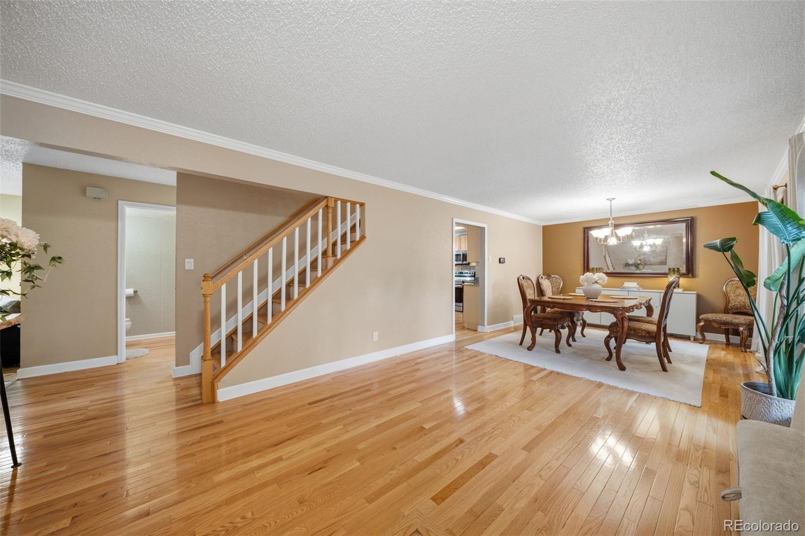 MLS Image #4 for 202  blanca court,colorado springs, Colorado