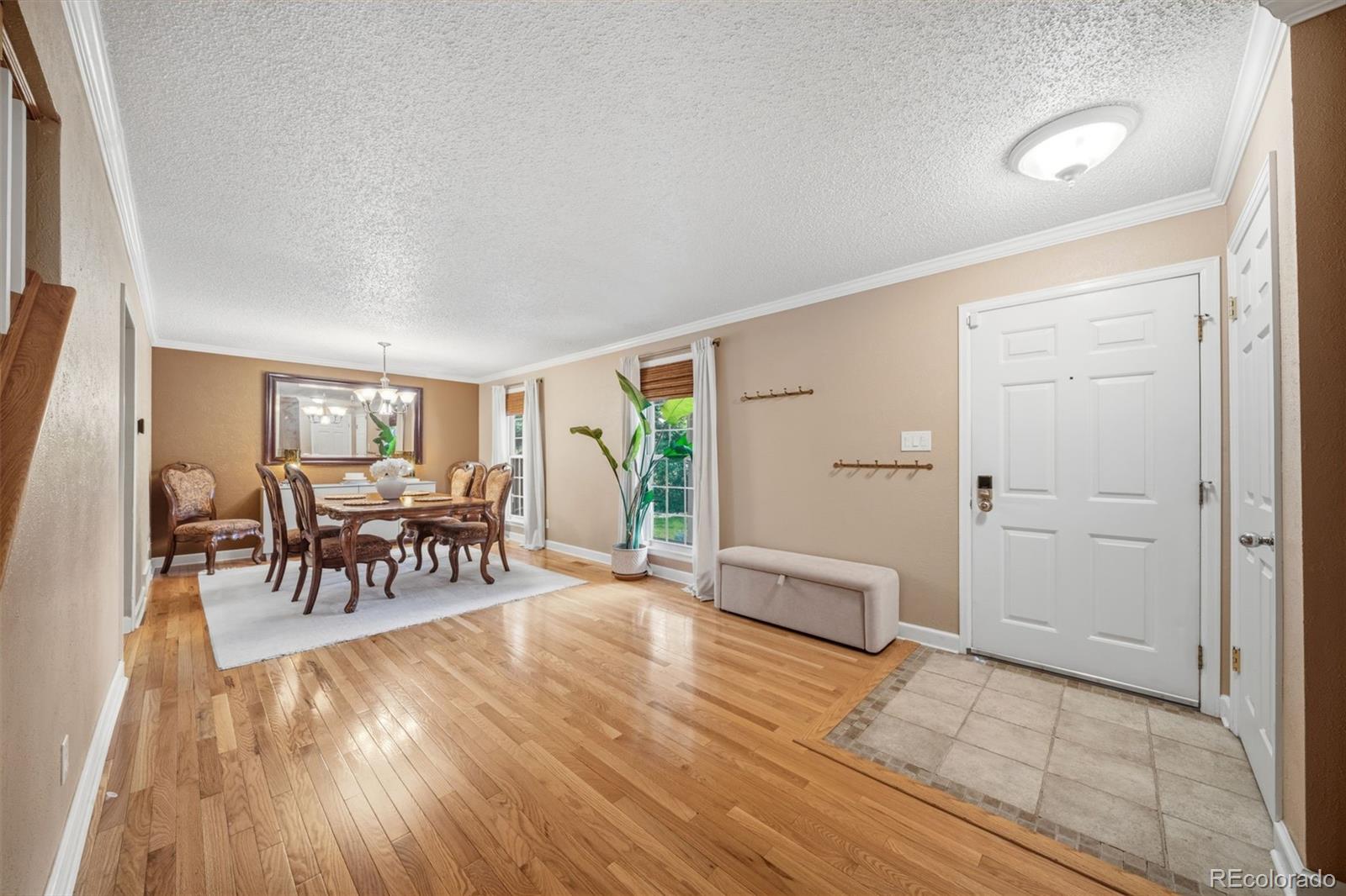 MLS Image #5 for 202  blanca court,colorado springs, Colorado