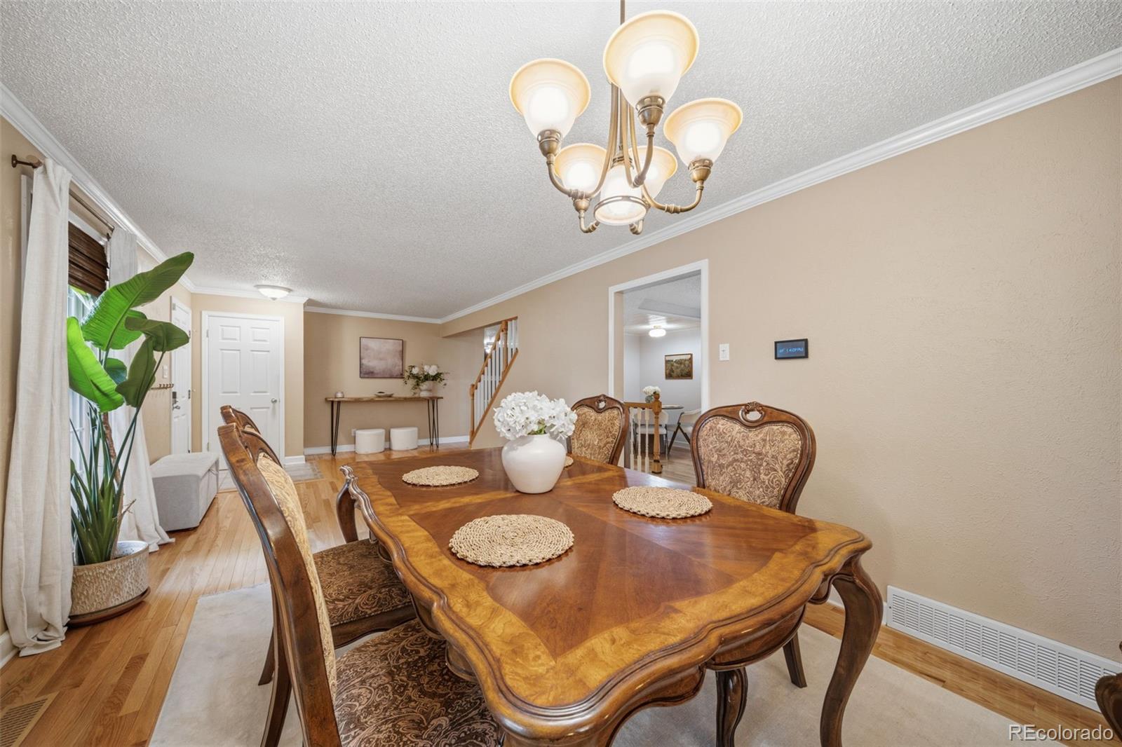 MLS Image #7 for 202  blanca court,colorado springs, Colorado