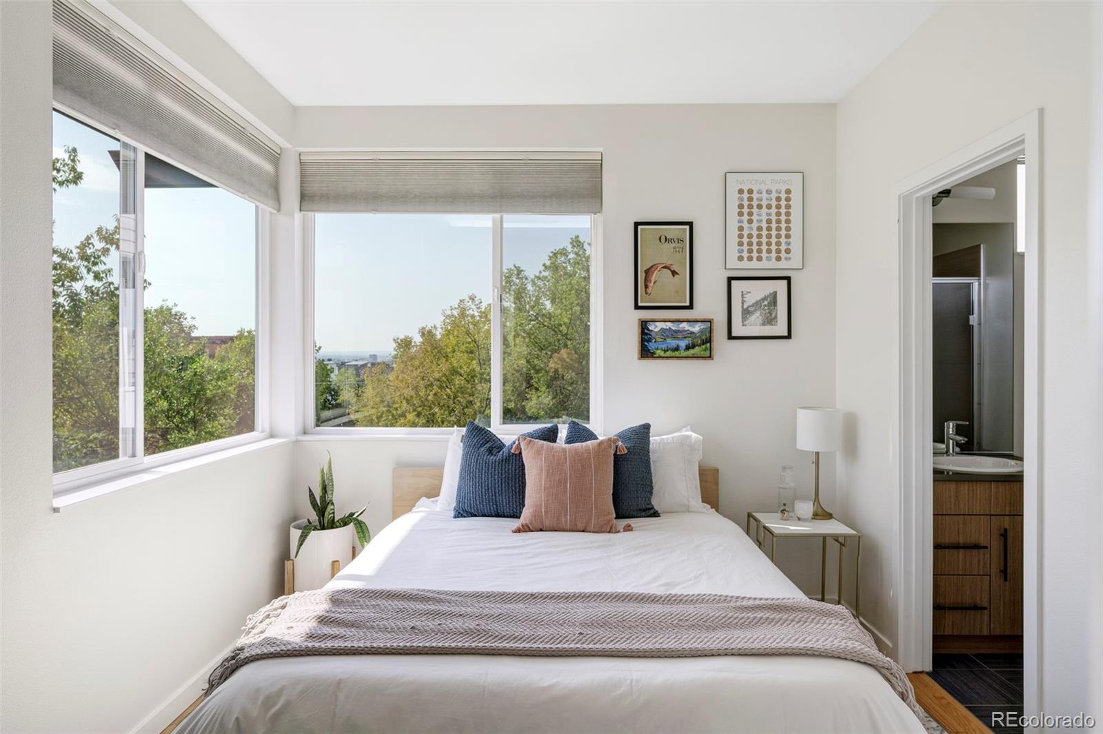 MLS Image #20 for 3111  zuni street ,denver, Colorado