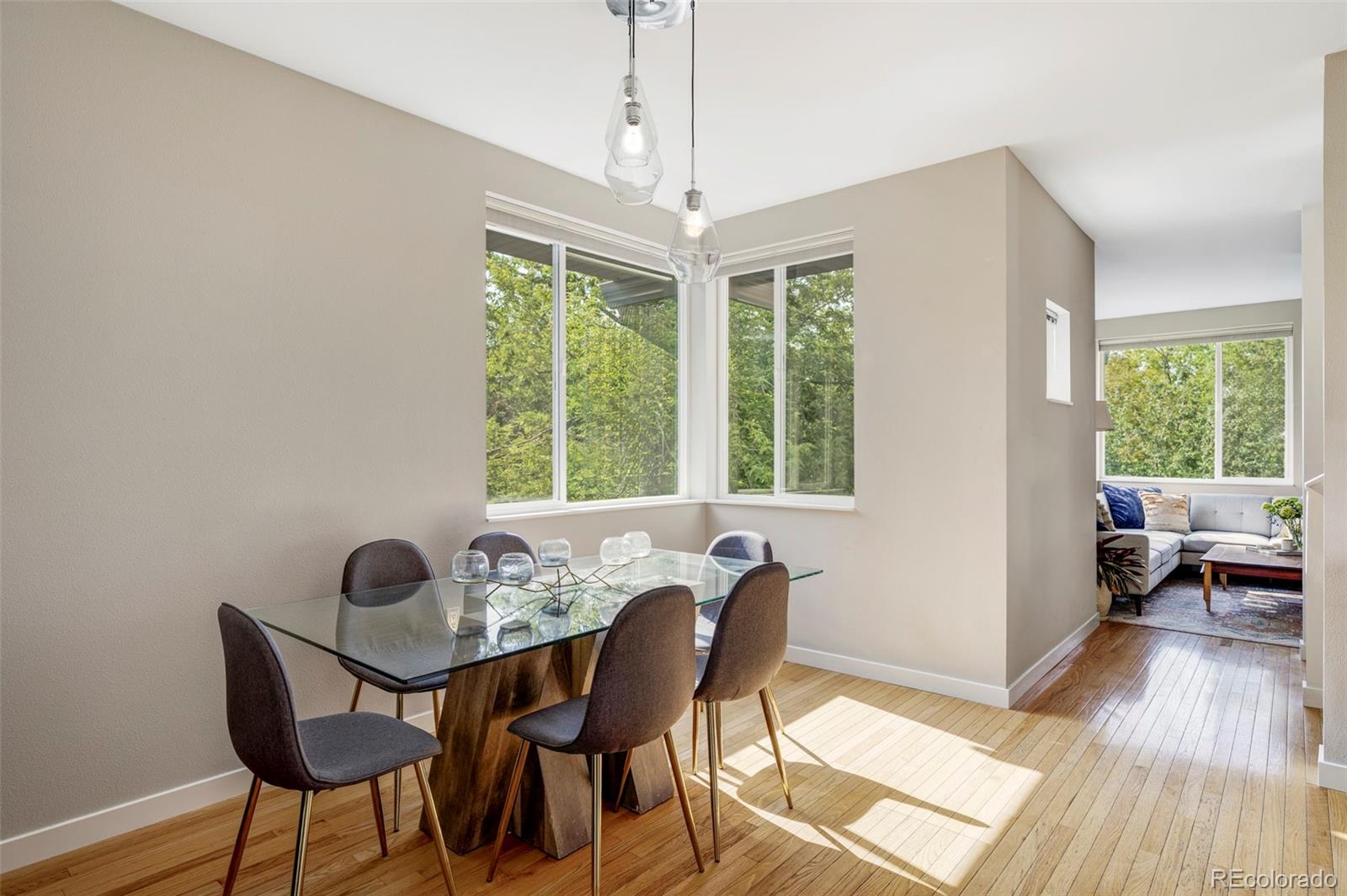 MLS Image #9 for 3111  zuni street ,denver, Colorado