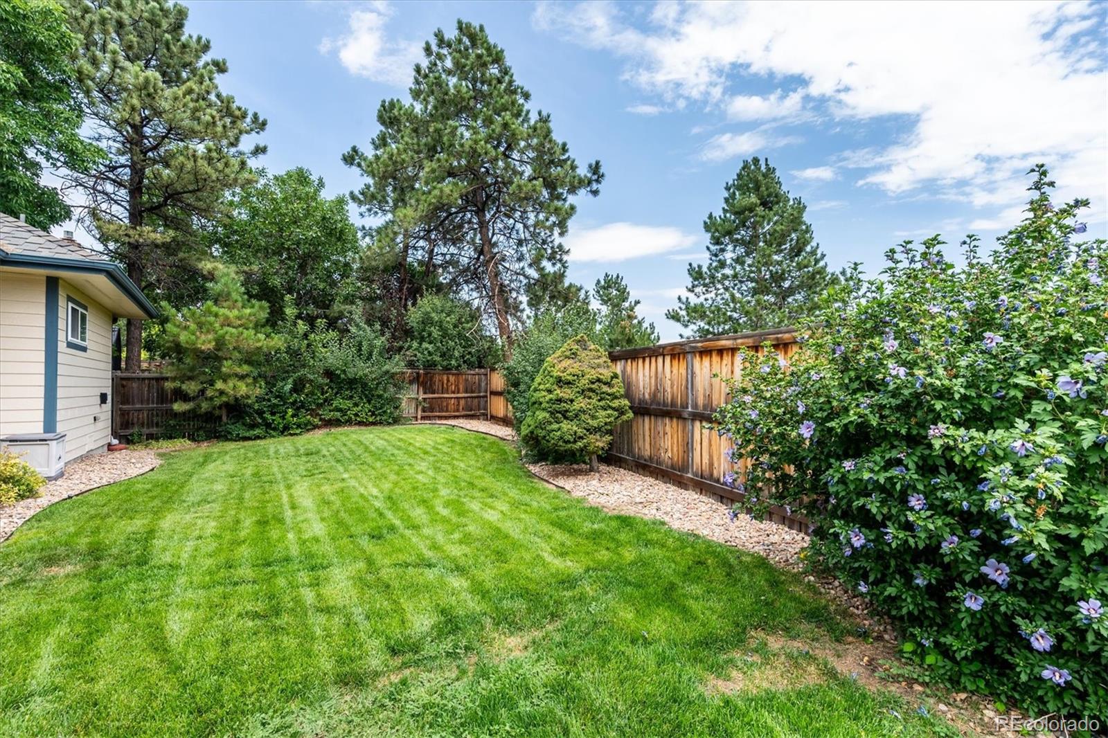 MLS Image #24 for 10005  granite hill drive,parker, Colorado