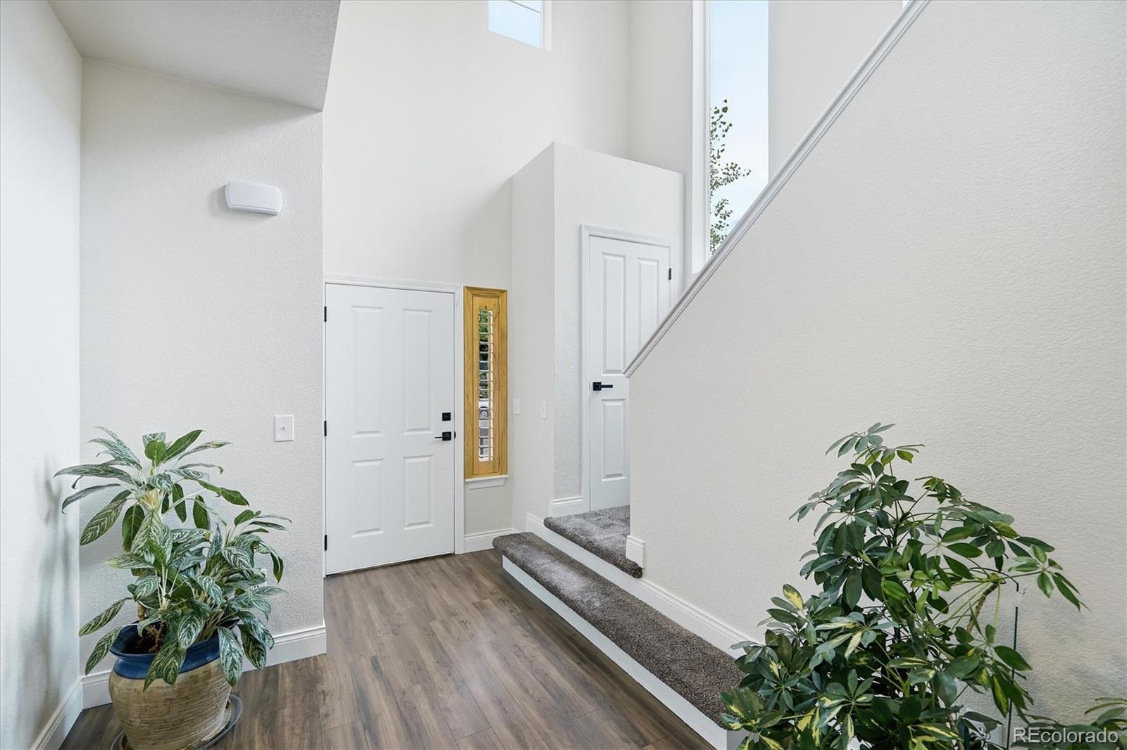 MLS Image #10 for 4235  timber hollow loop,castle rock, Colorado